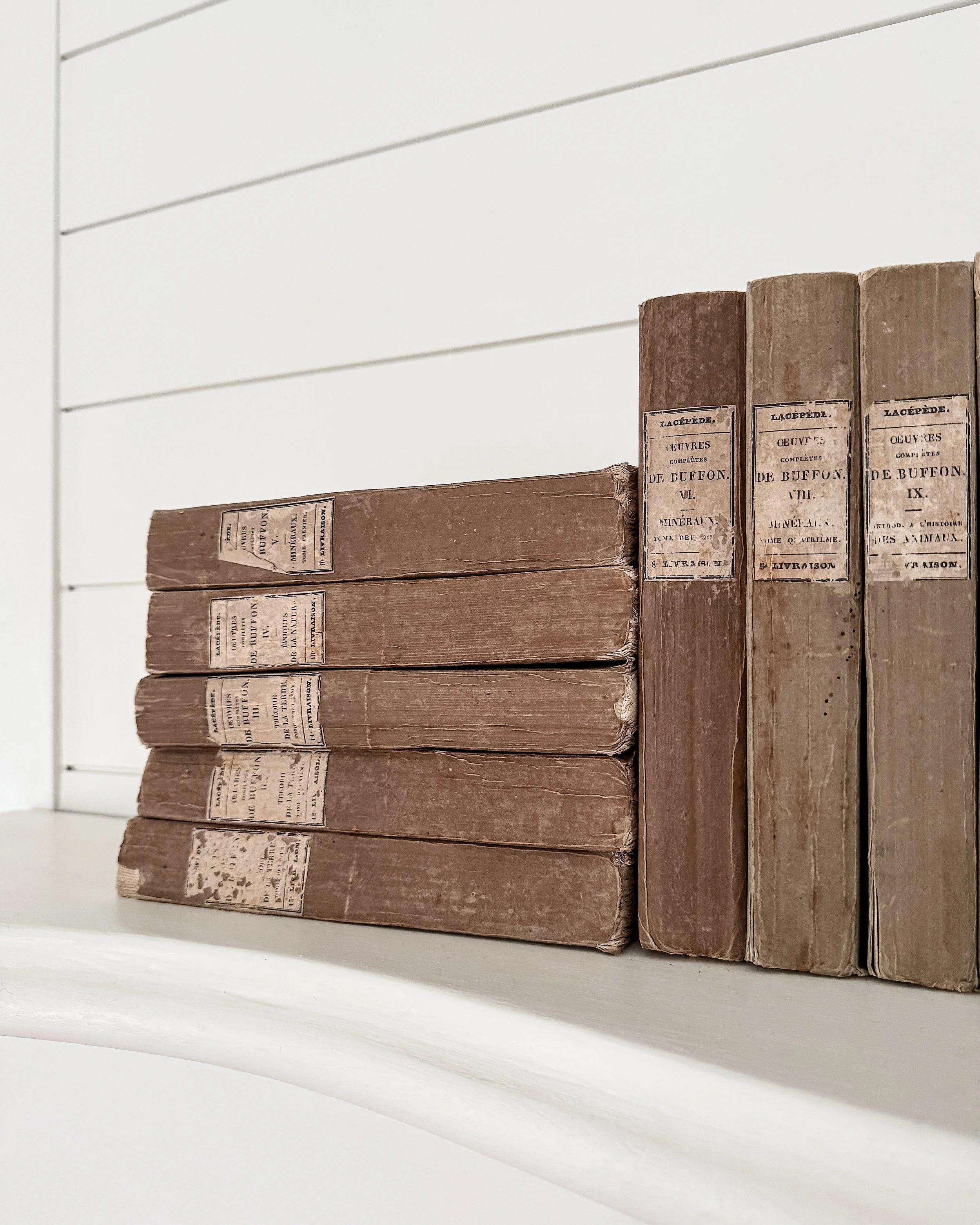 19th Century French Natural Sciences Rag Paper Books