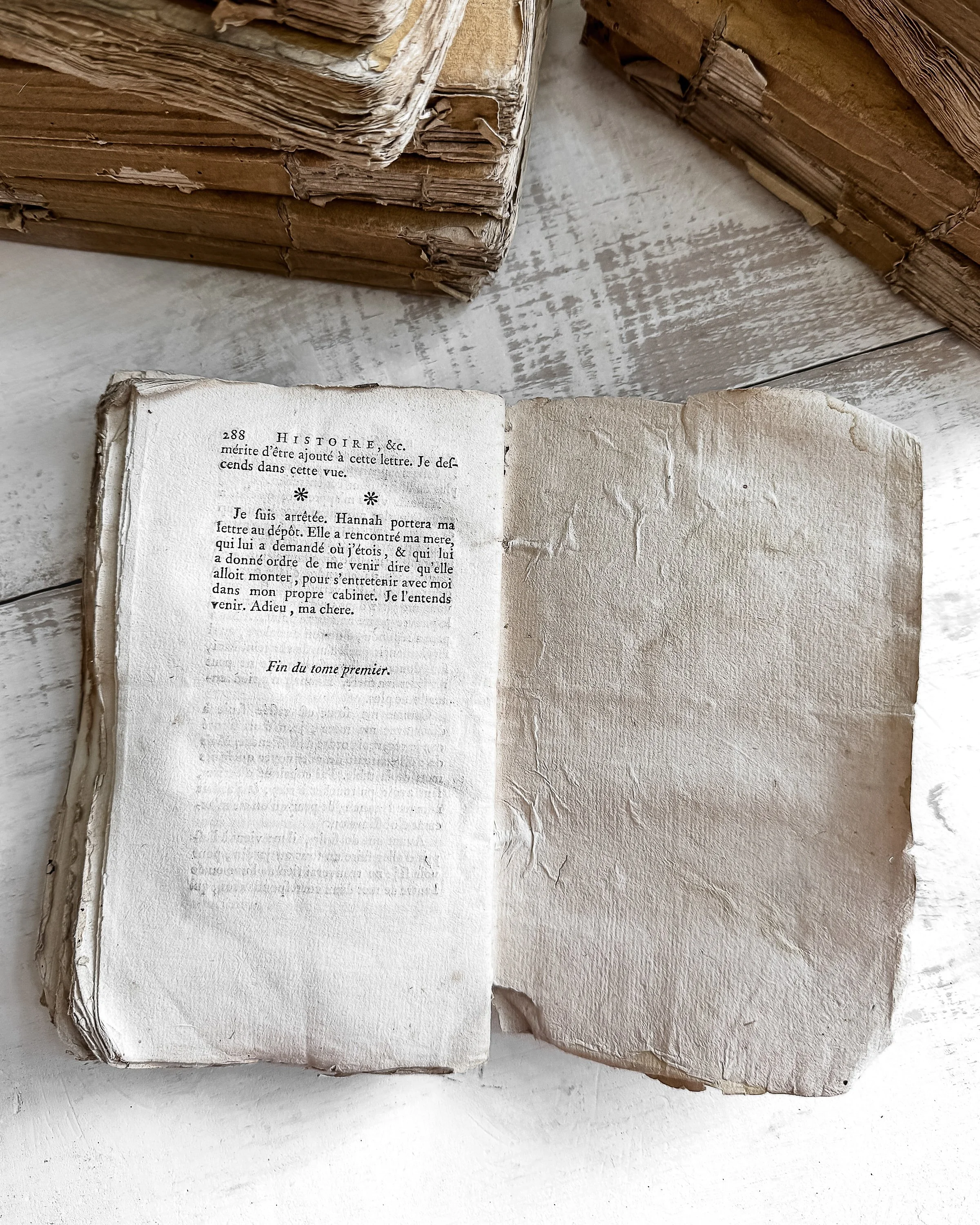 18th Century French Rag Paper Books