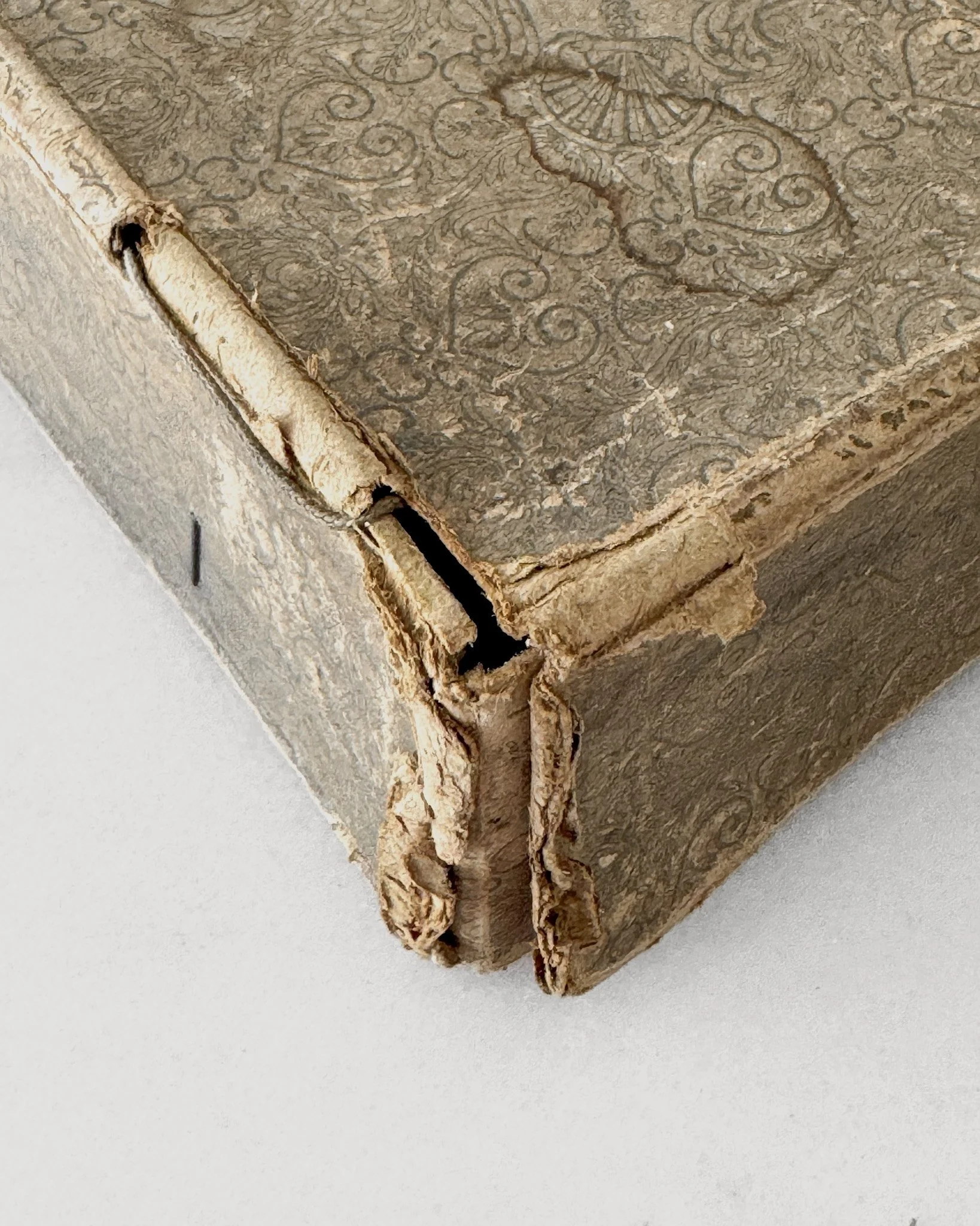 Interwar French Educational Celluloid Film Reels