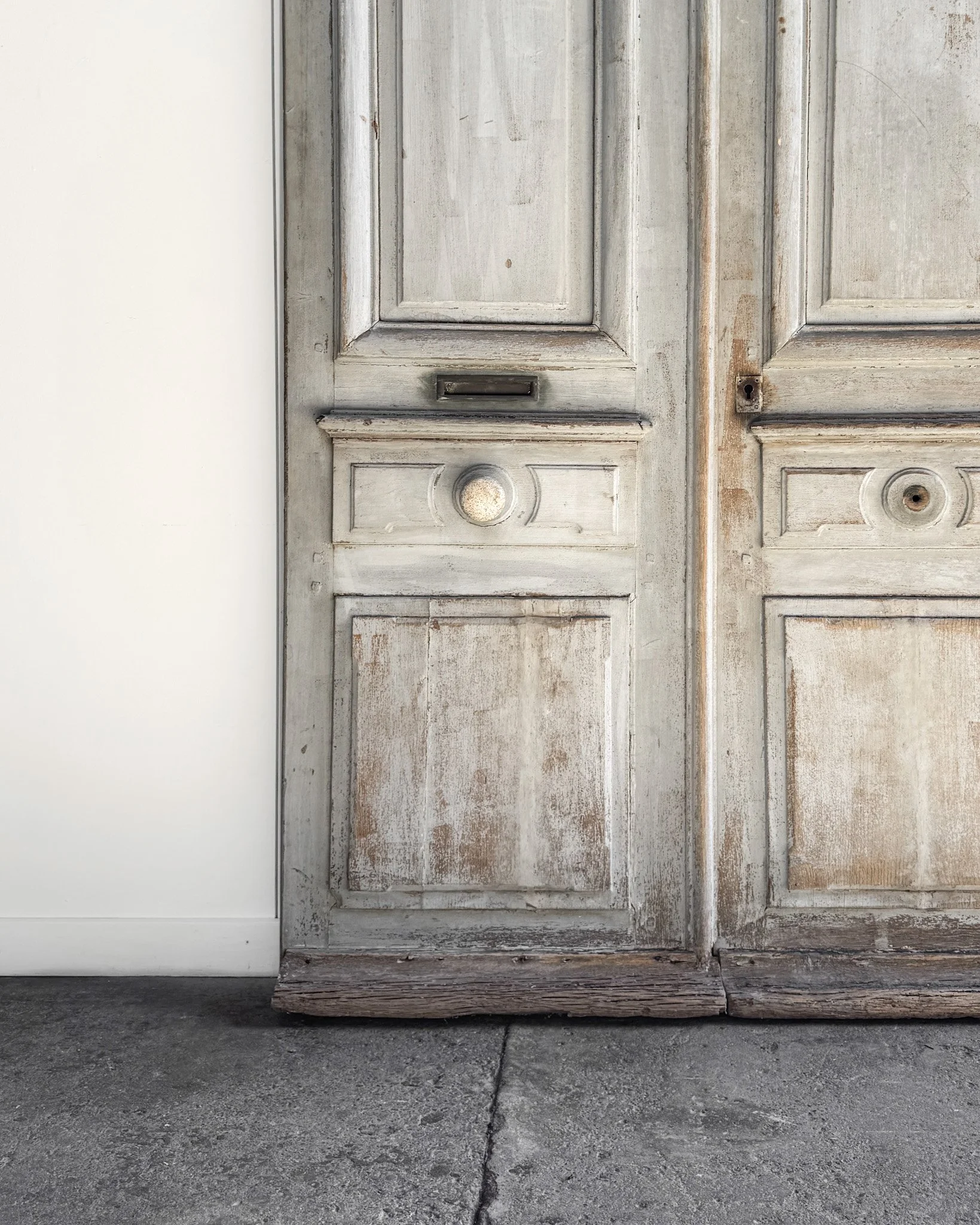 Salvaged Antique French Door