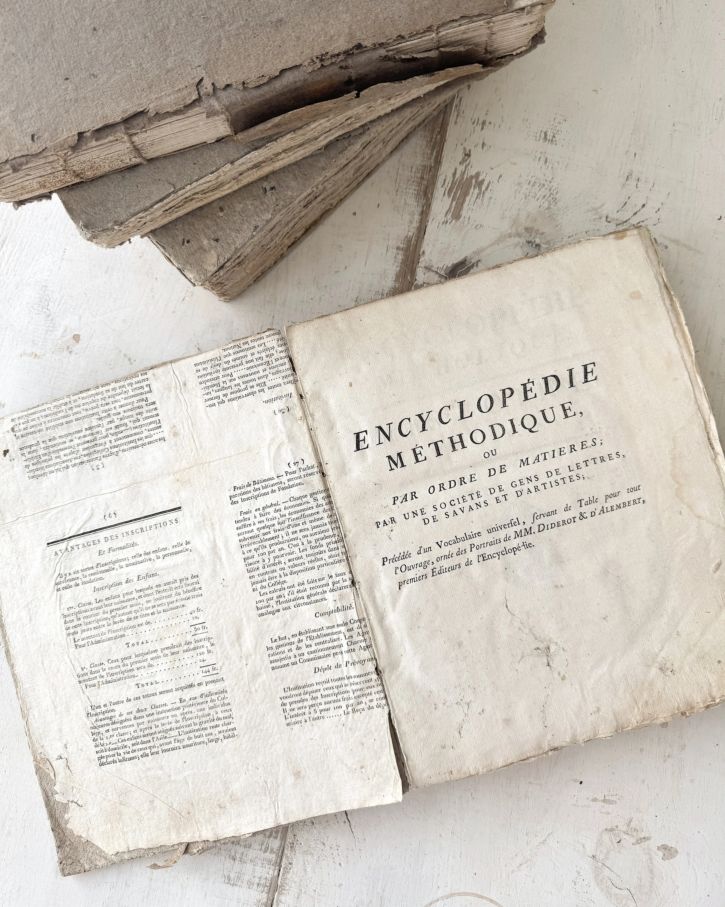 Set of Antique French Methodical Encyclopedias