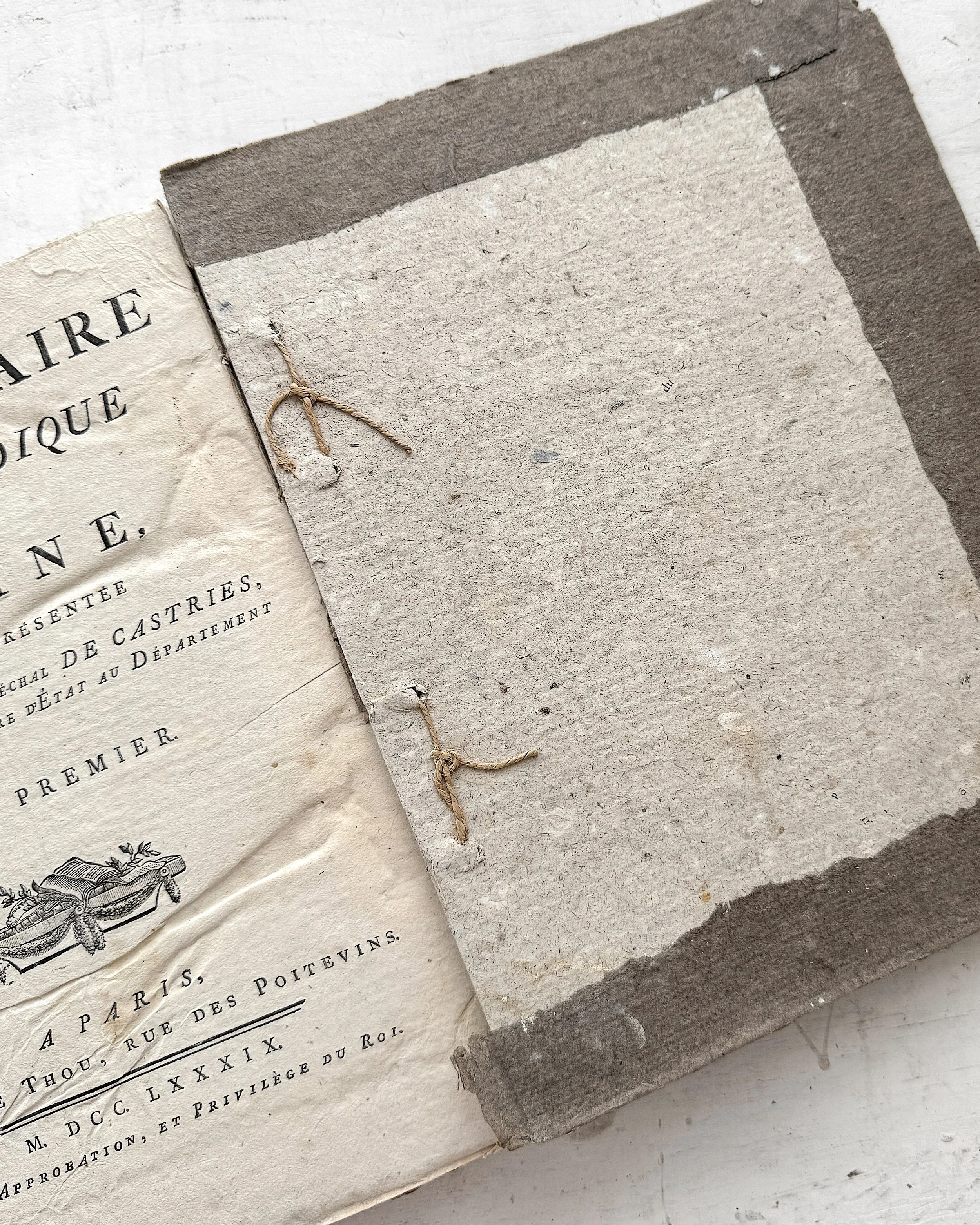 Set of Antique French Methodical Encyclopedias