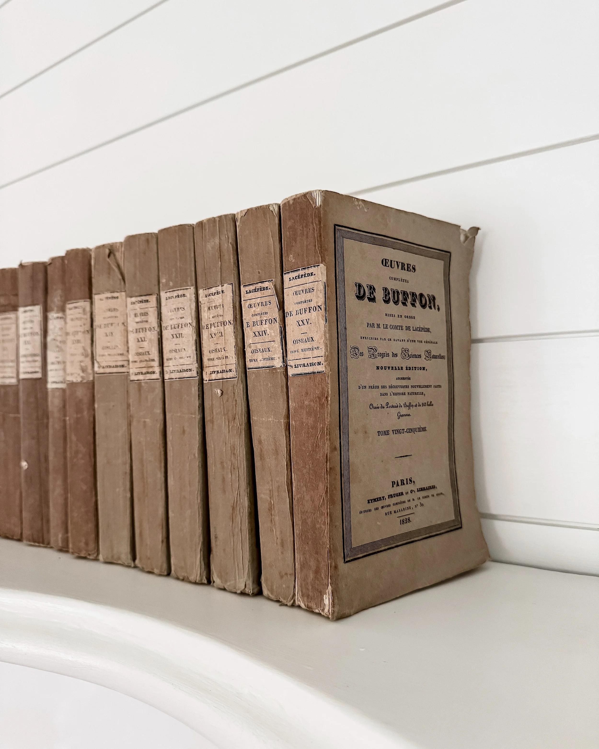 19th Century French Natural Sciences Rag Paper Books