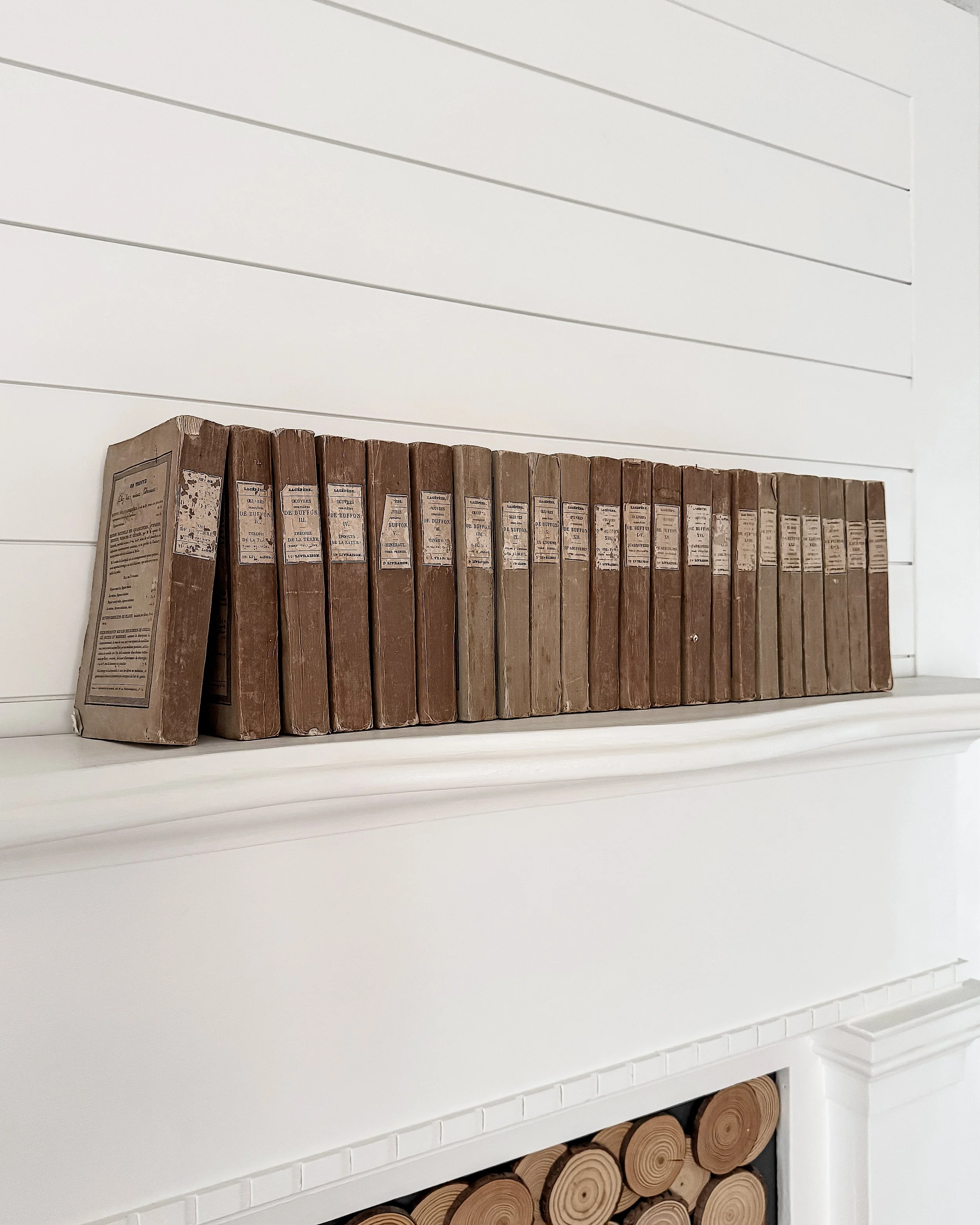 19th Century French Natural Sciences Rag Paper Books