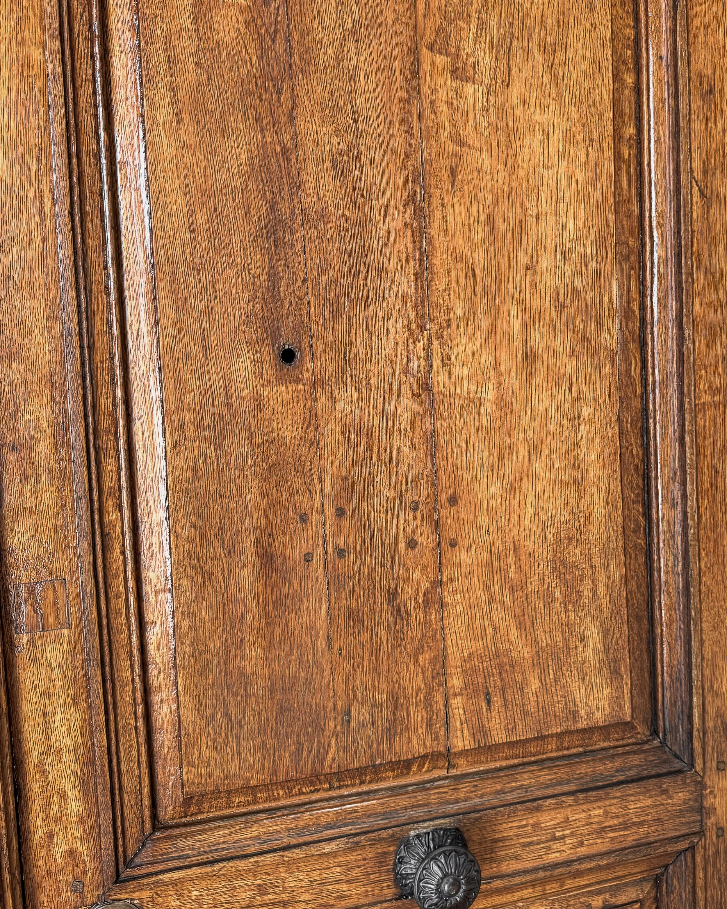 Salvaged 19th Century French Doors
