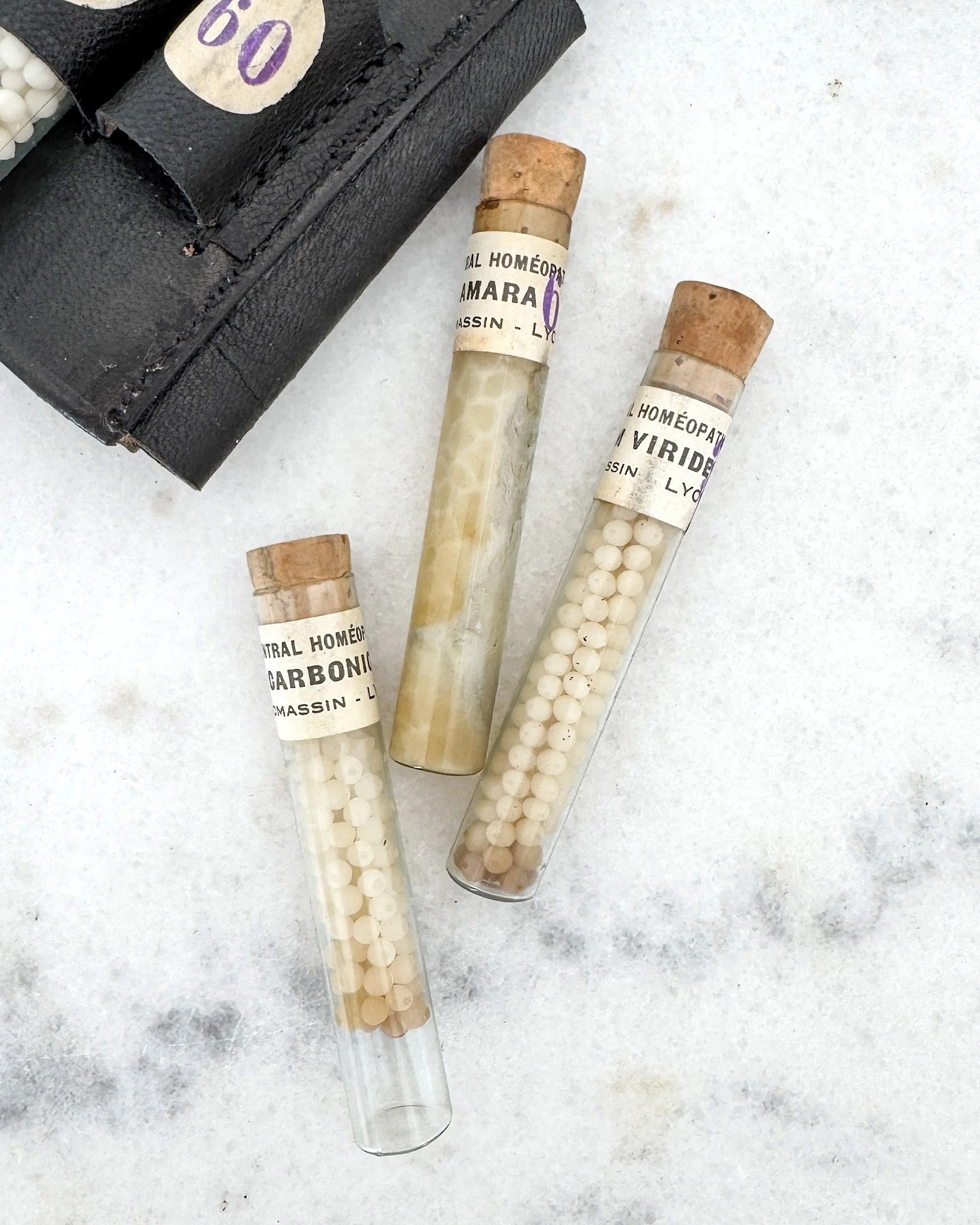 Antique French Homeopathic Leather Travel Case