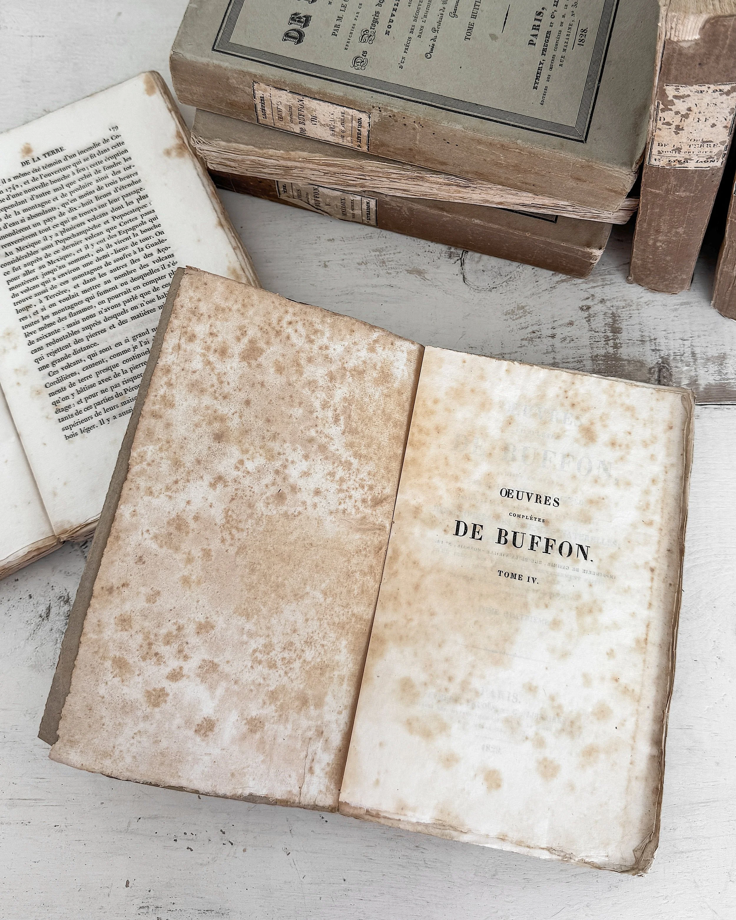 19th Century French Natural Sciences Rag Paper Books