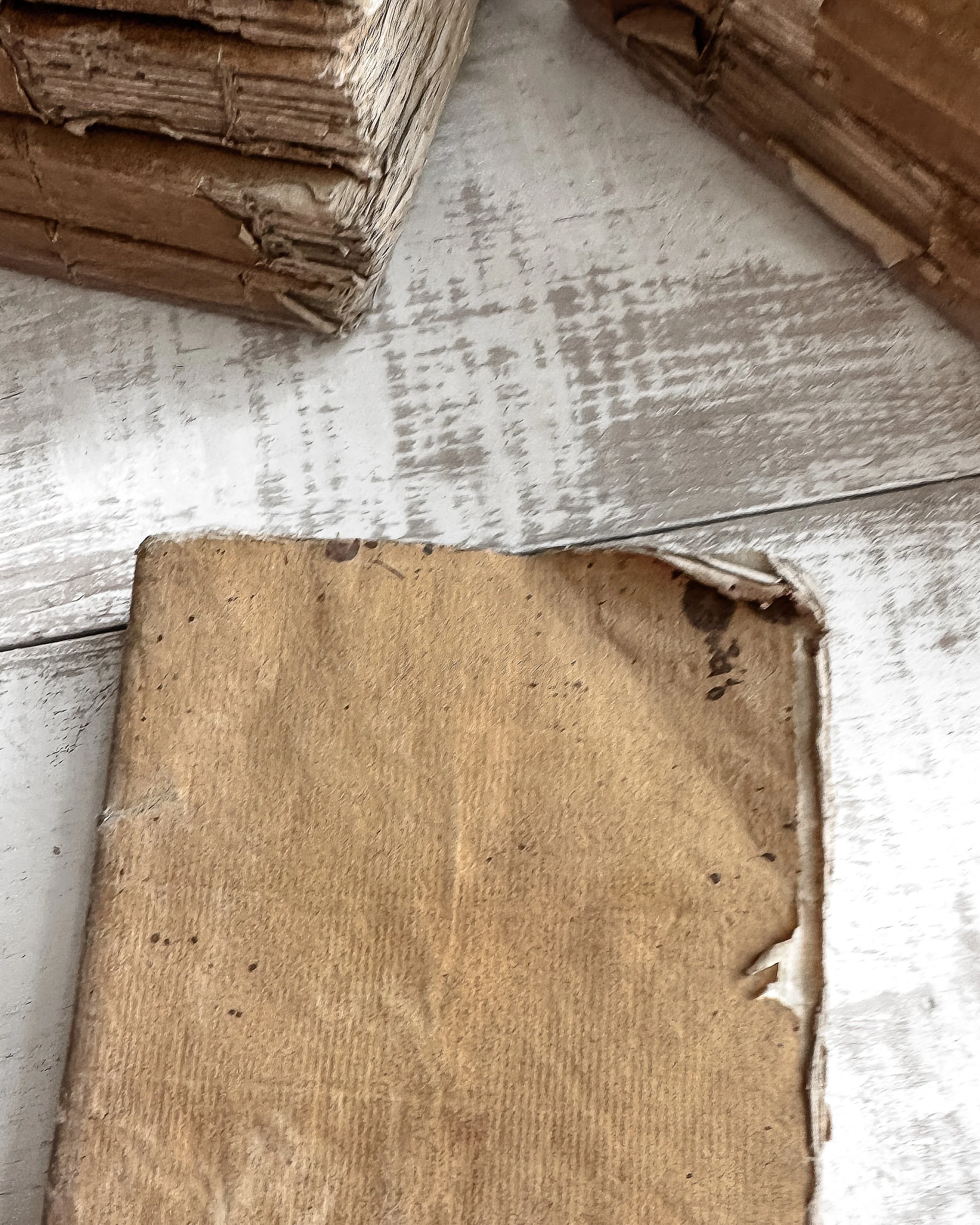 18th Century French Rag Paper Books