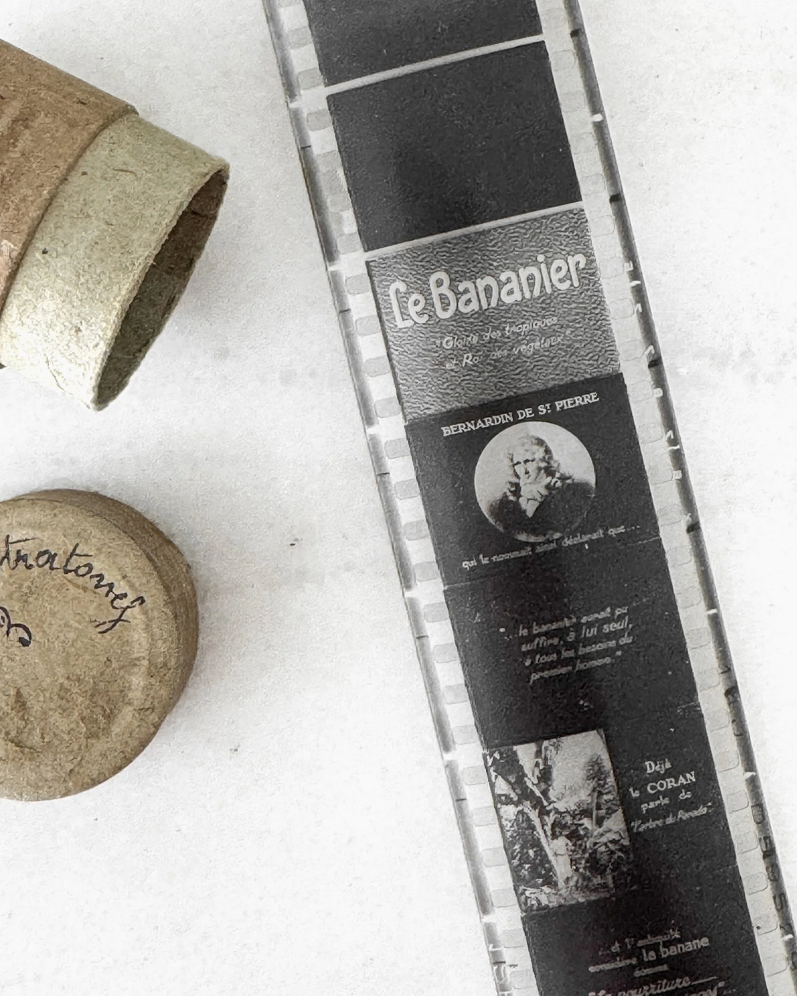 Interwar French Educational Celluloid Film Reels