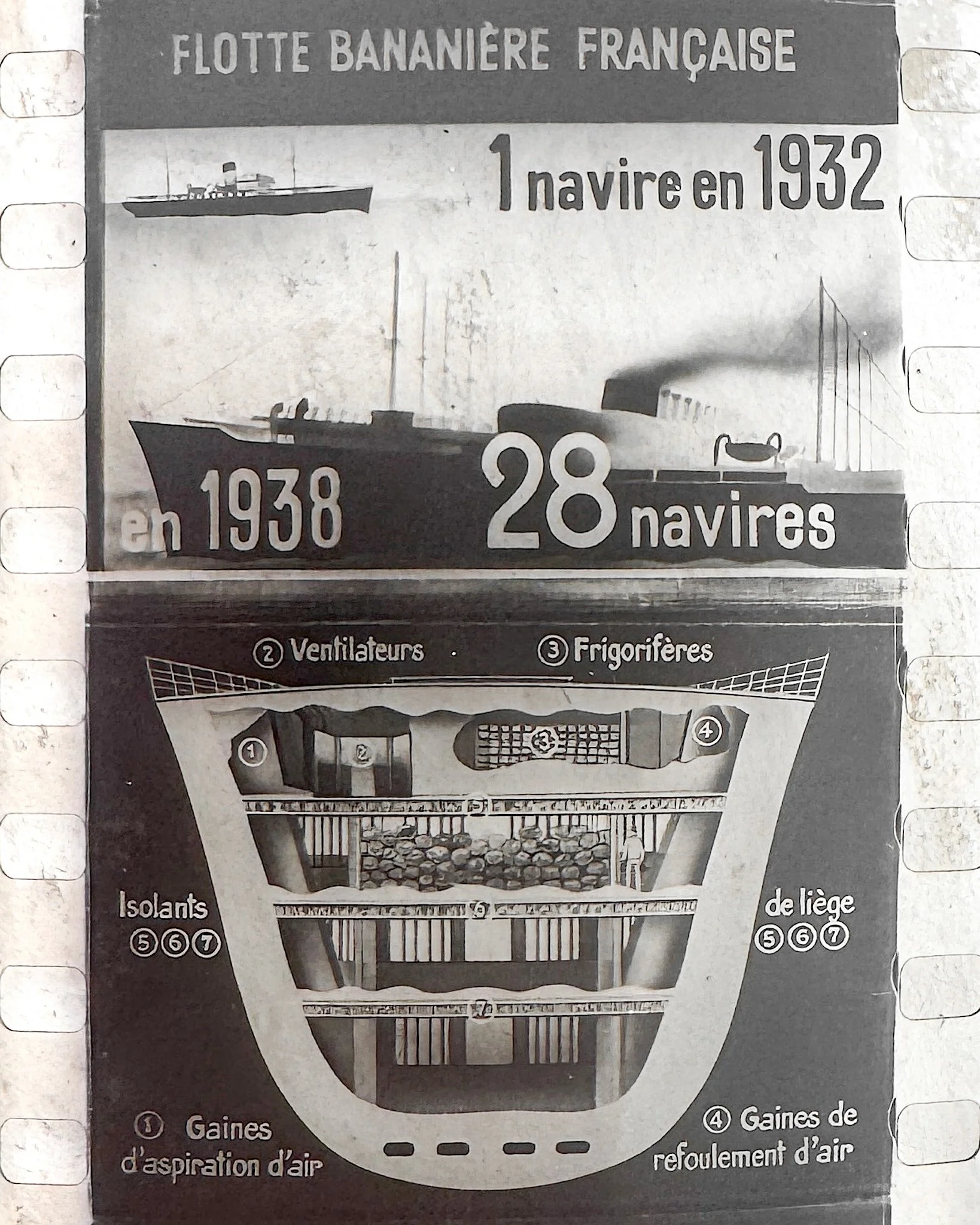 Interwar French Educational Celluloid Film Reels