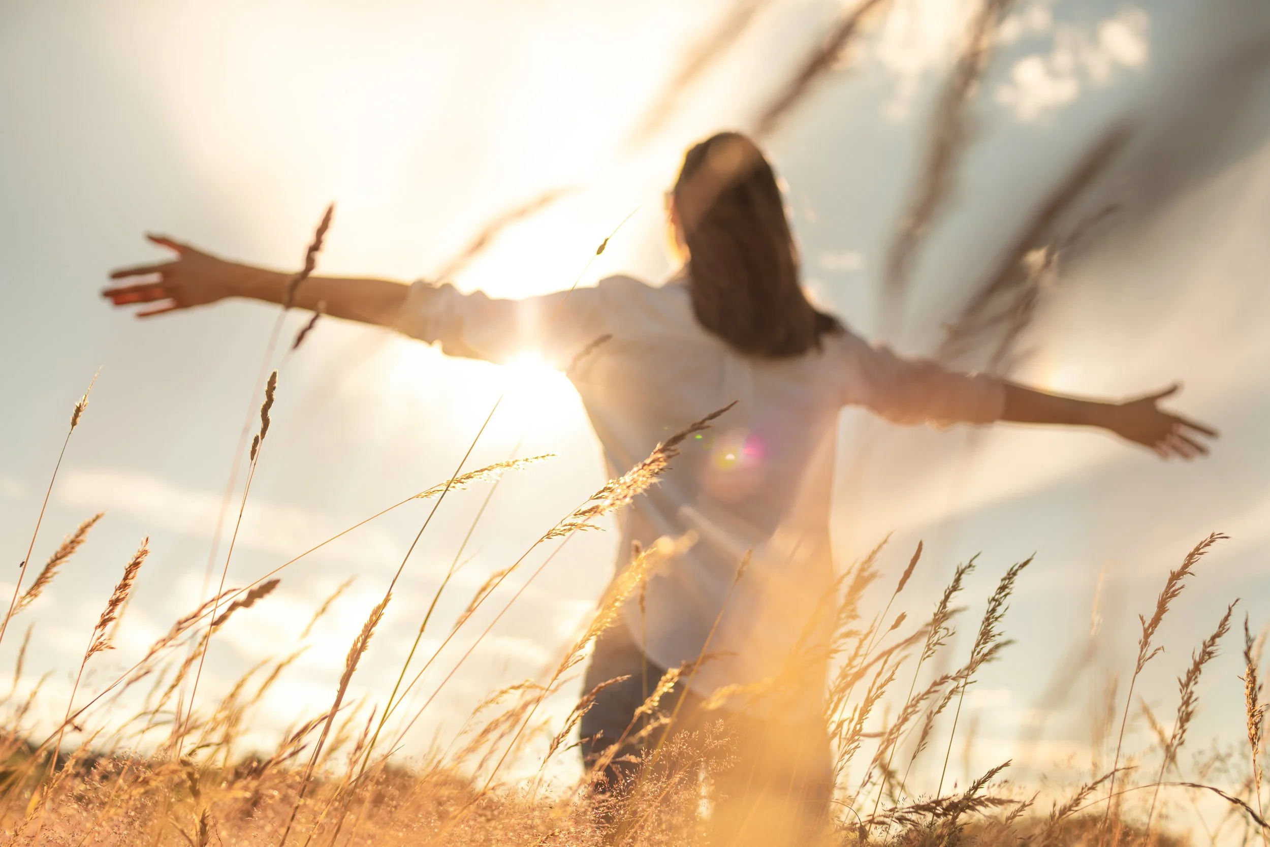 Let Gratitude Be the Pillow