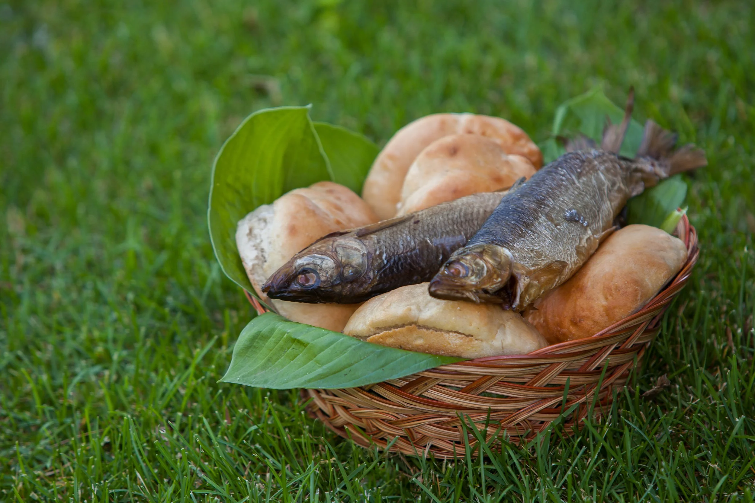 Loaves and Fishes
