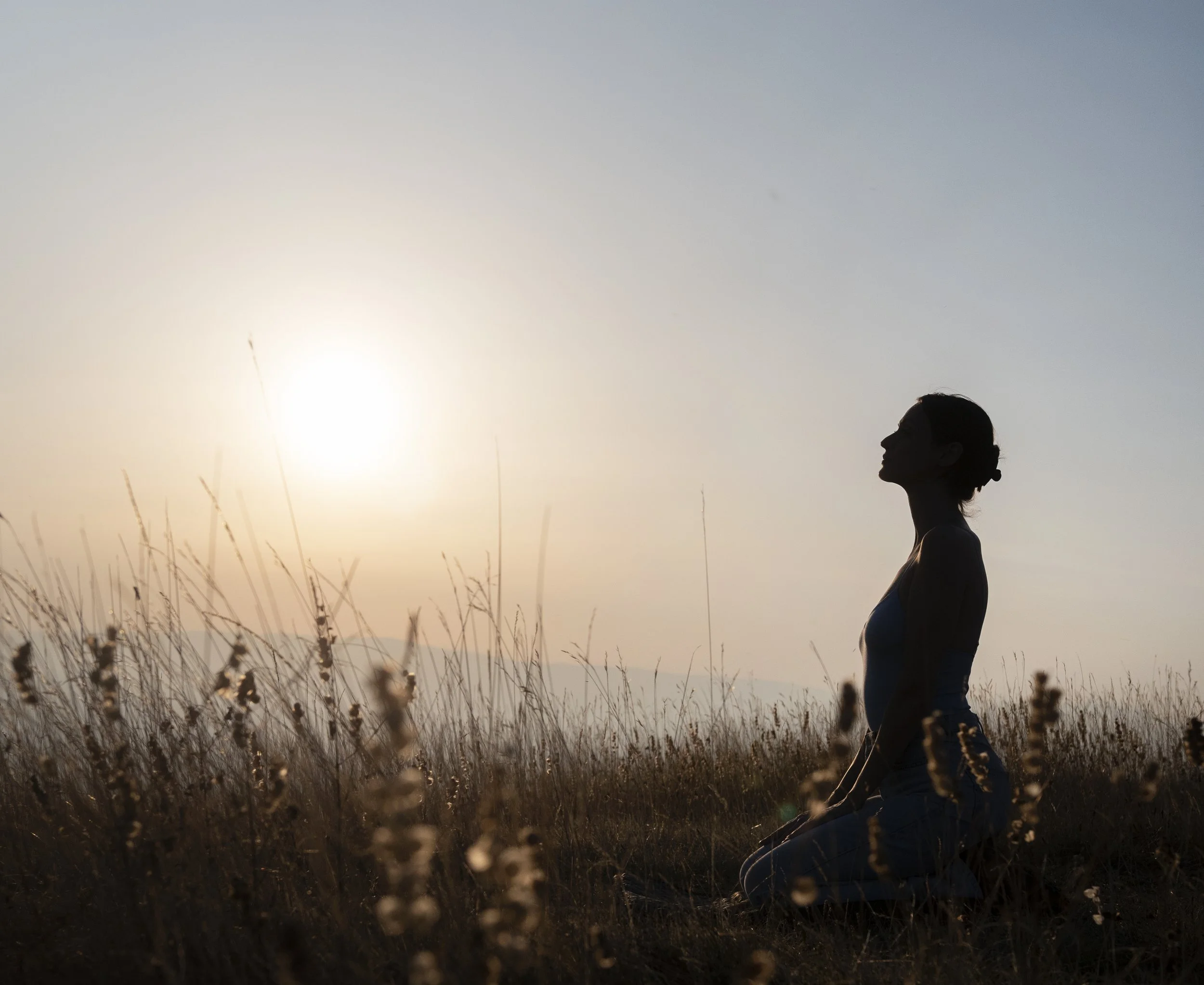 Meditation