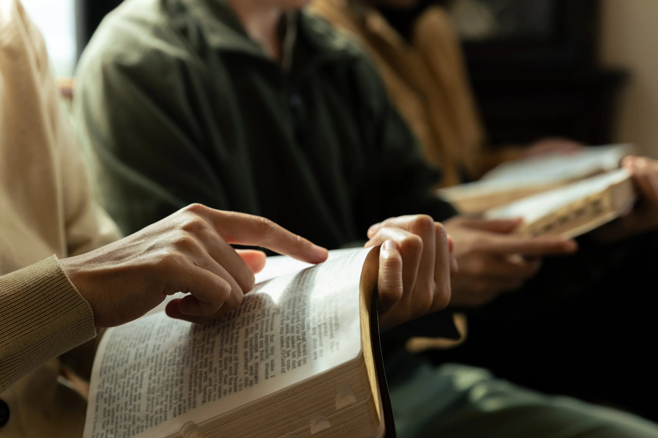 How Will We Use the Bible?
