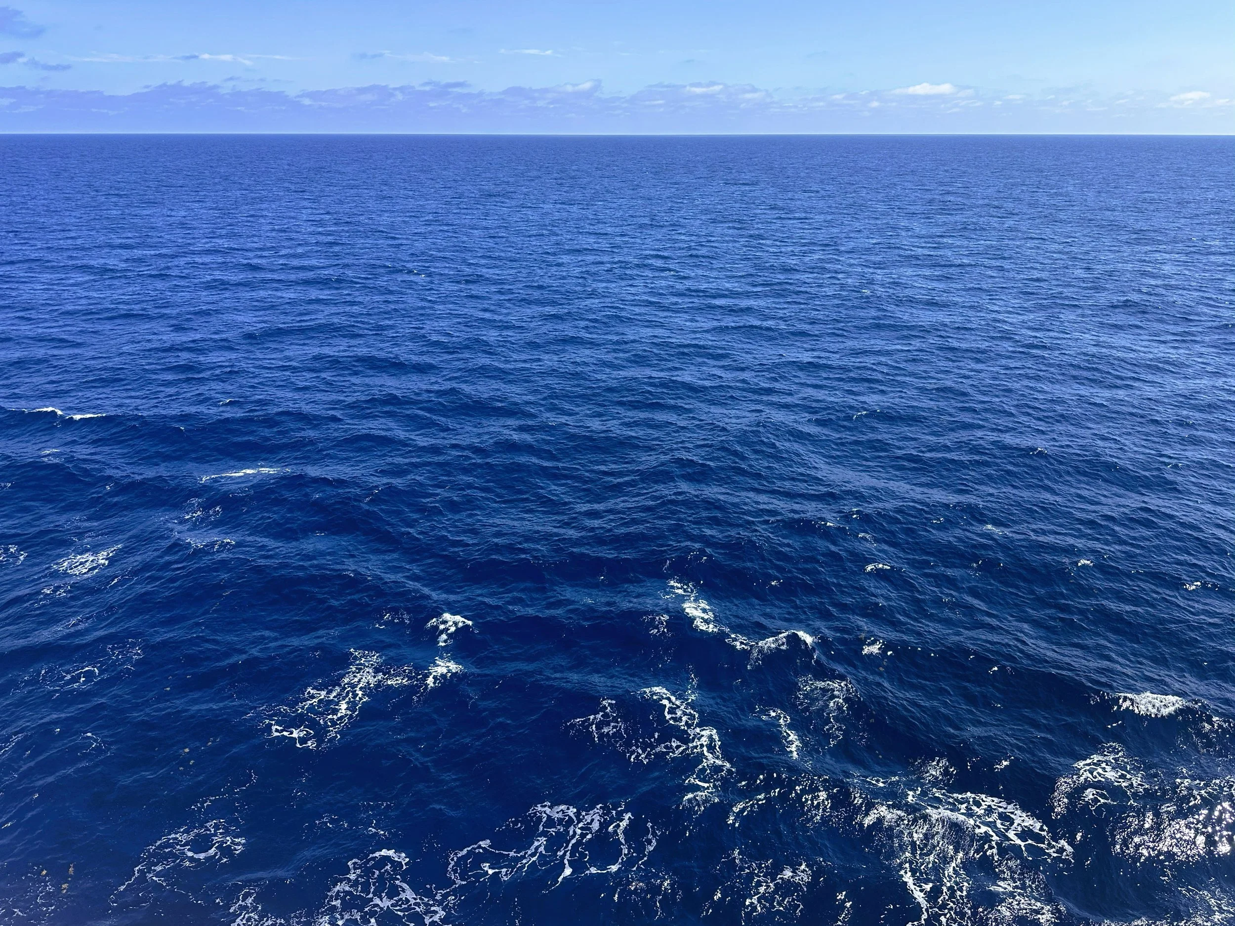 Hope to never forget the deep blue of the North Atlantic.