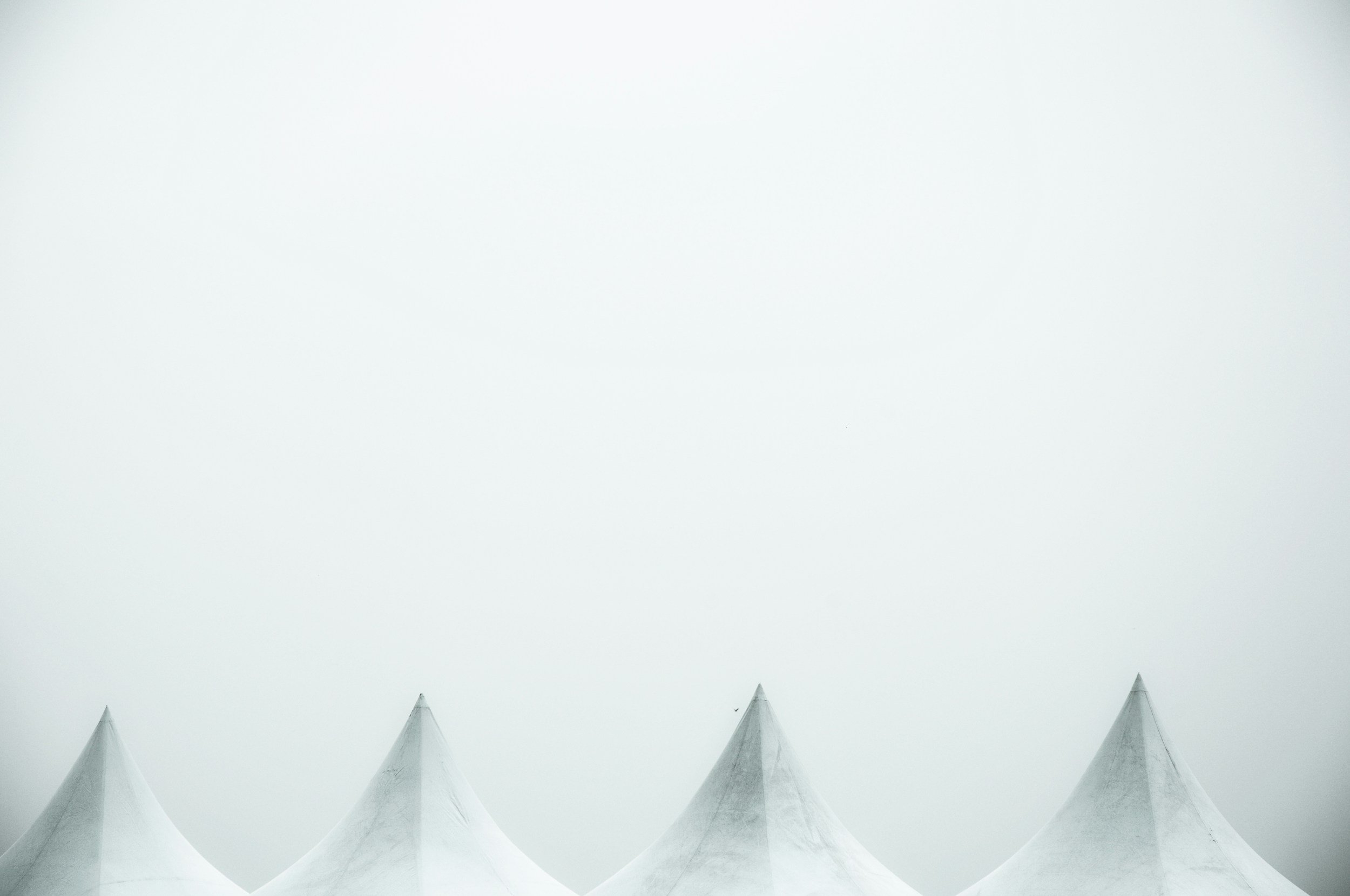 A Tale of 50 Tents