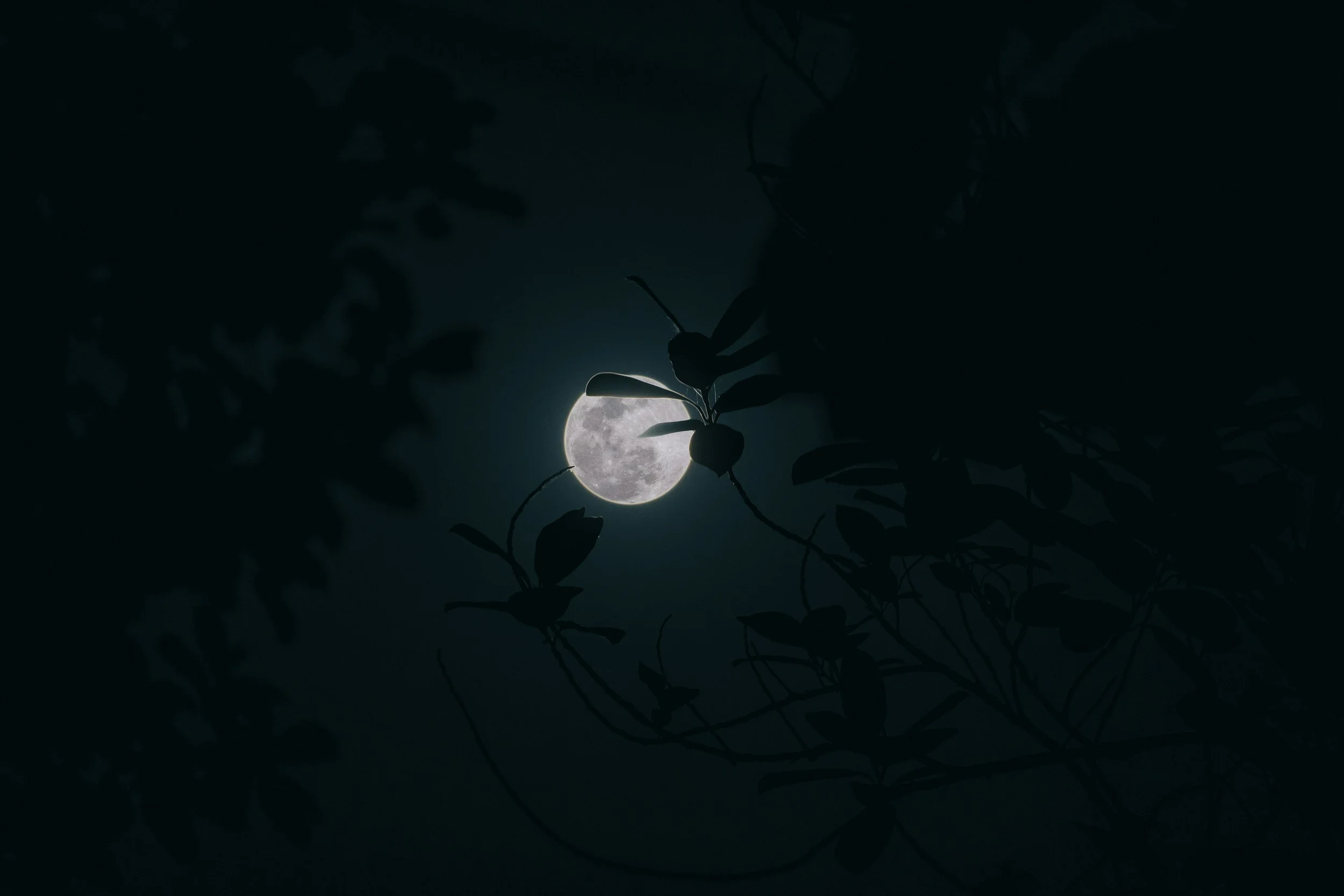 The Midnight Friend of Importunity