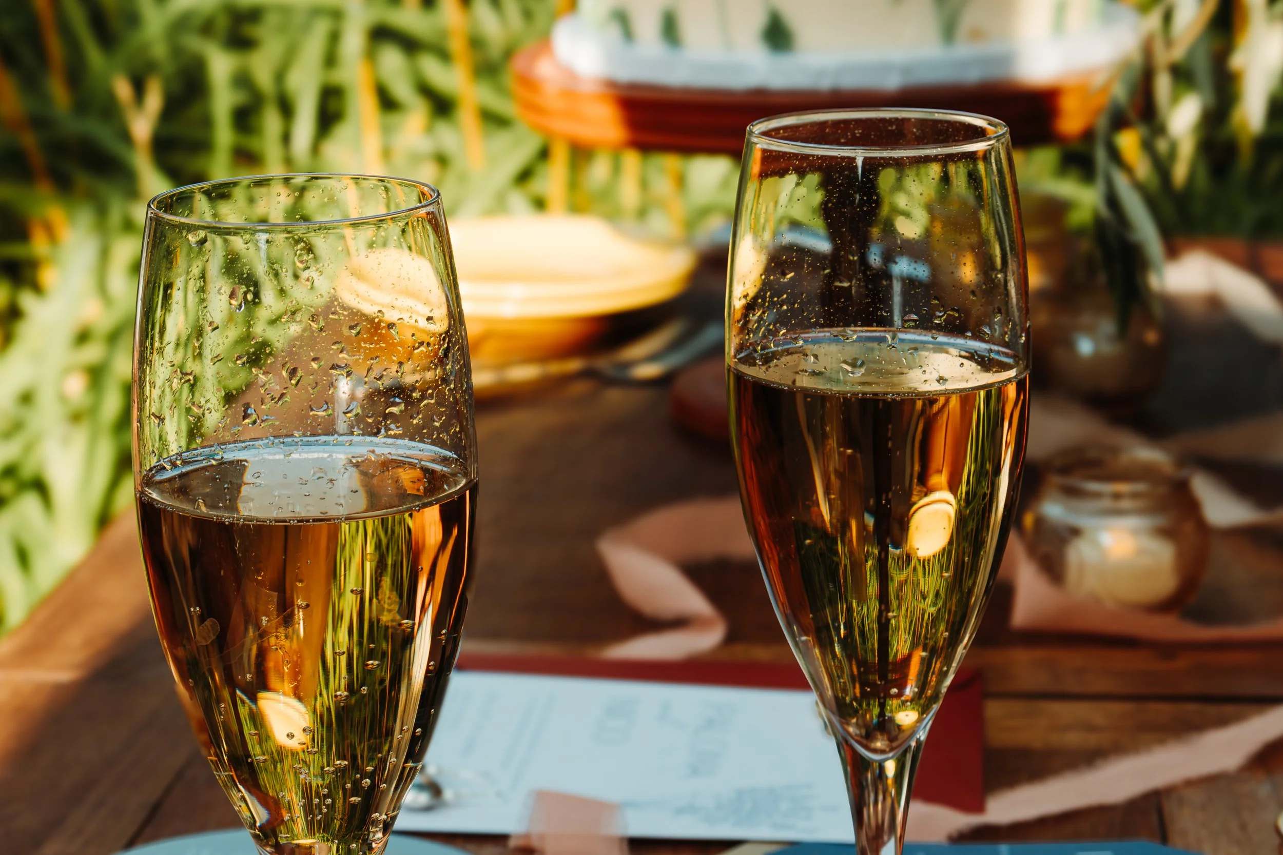 Two glasses of sparkling wine or champagne on a wooden table outdoors, with greenery and blurred objects in the background.