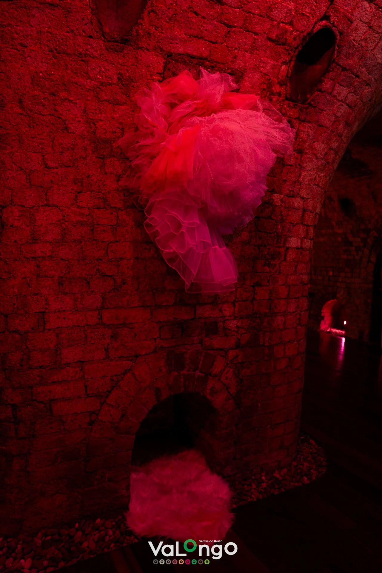 DSC05487.jpg