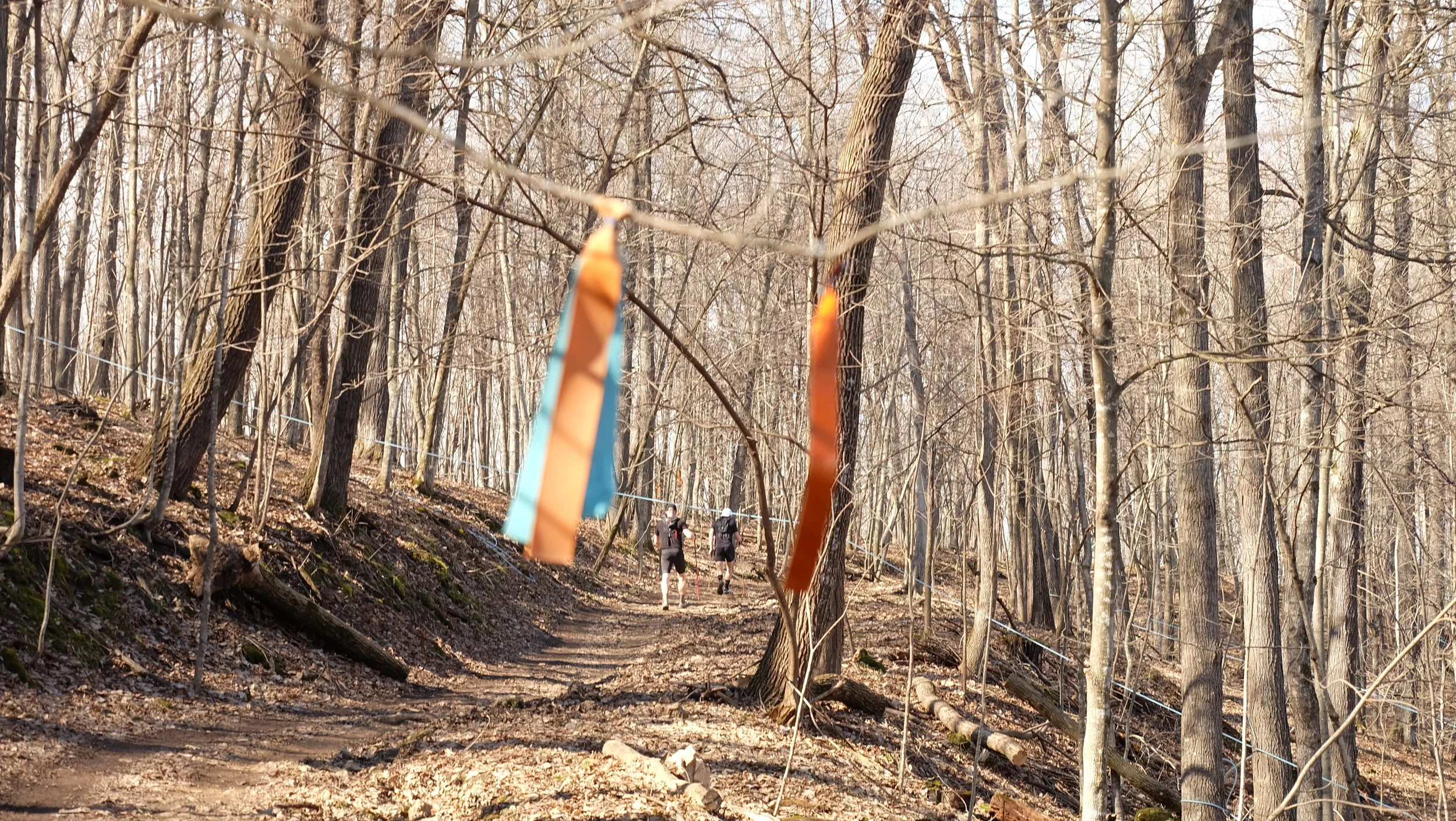 Embark Maple Energy Sap Run Scramble 2026 (69).JPG