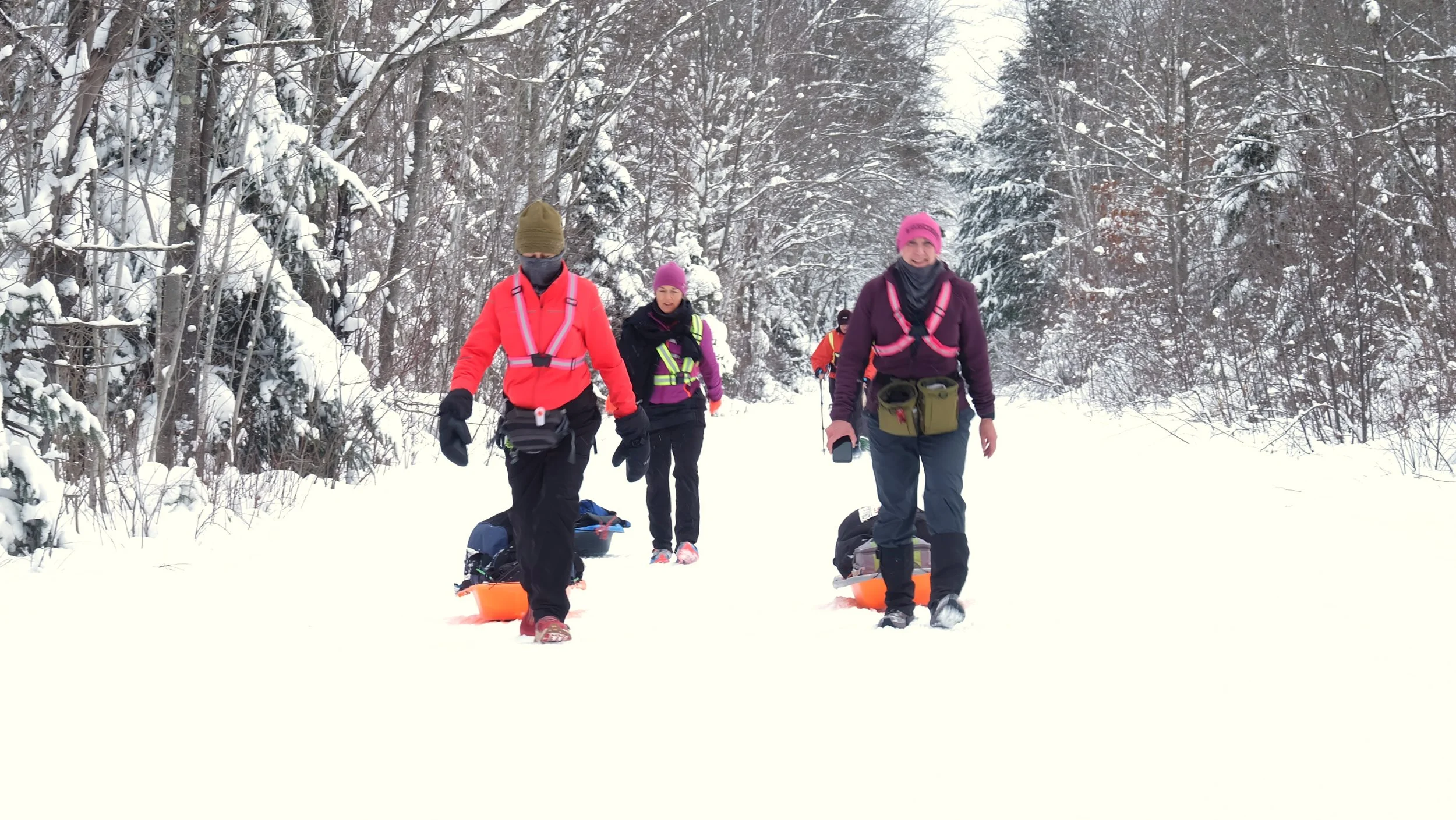 Tuscobia Winter Ultra 2026 (61).JPG