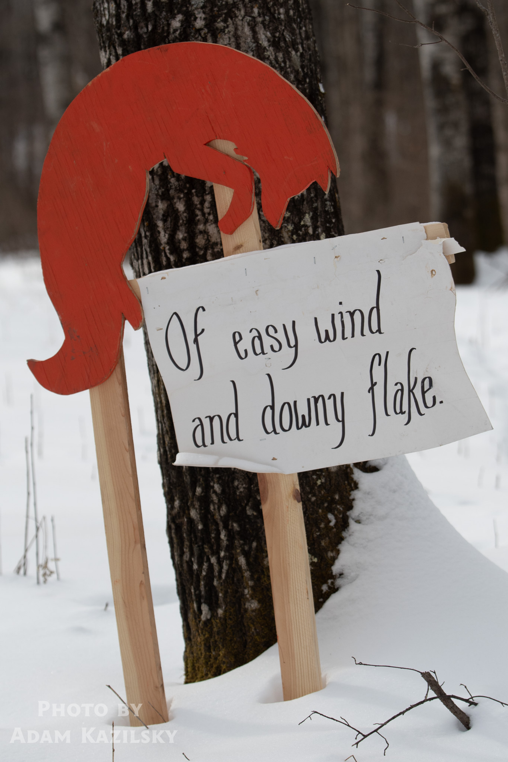 Arrowhead 135 Adam Kazilsky Embark 12.png