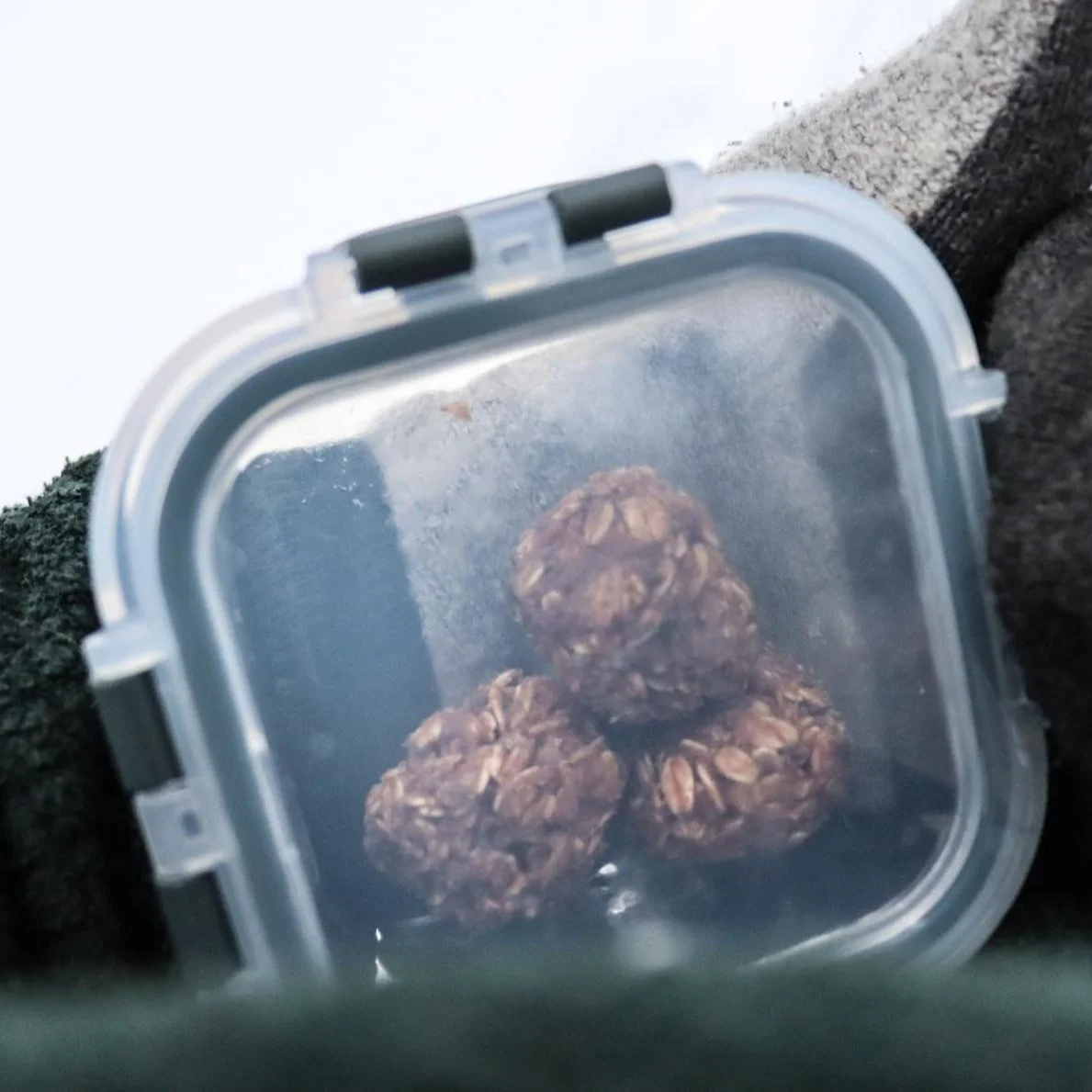 Elderberry Maple Orange Energy Balls