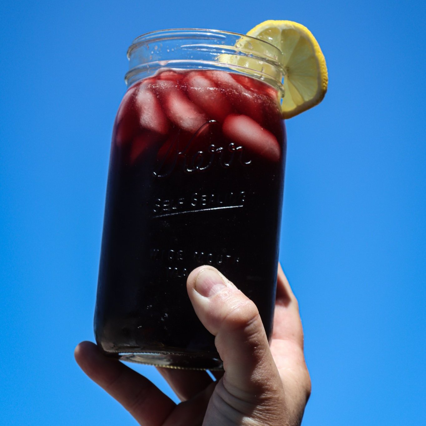 Elderberry Maple Lemonade