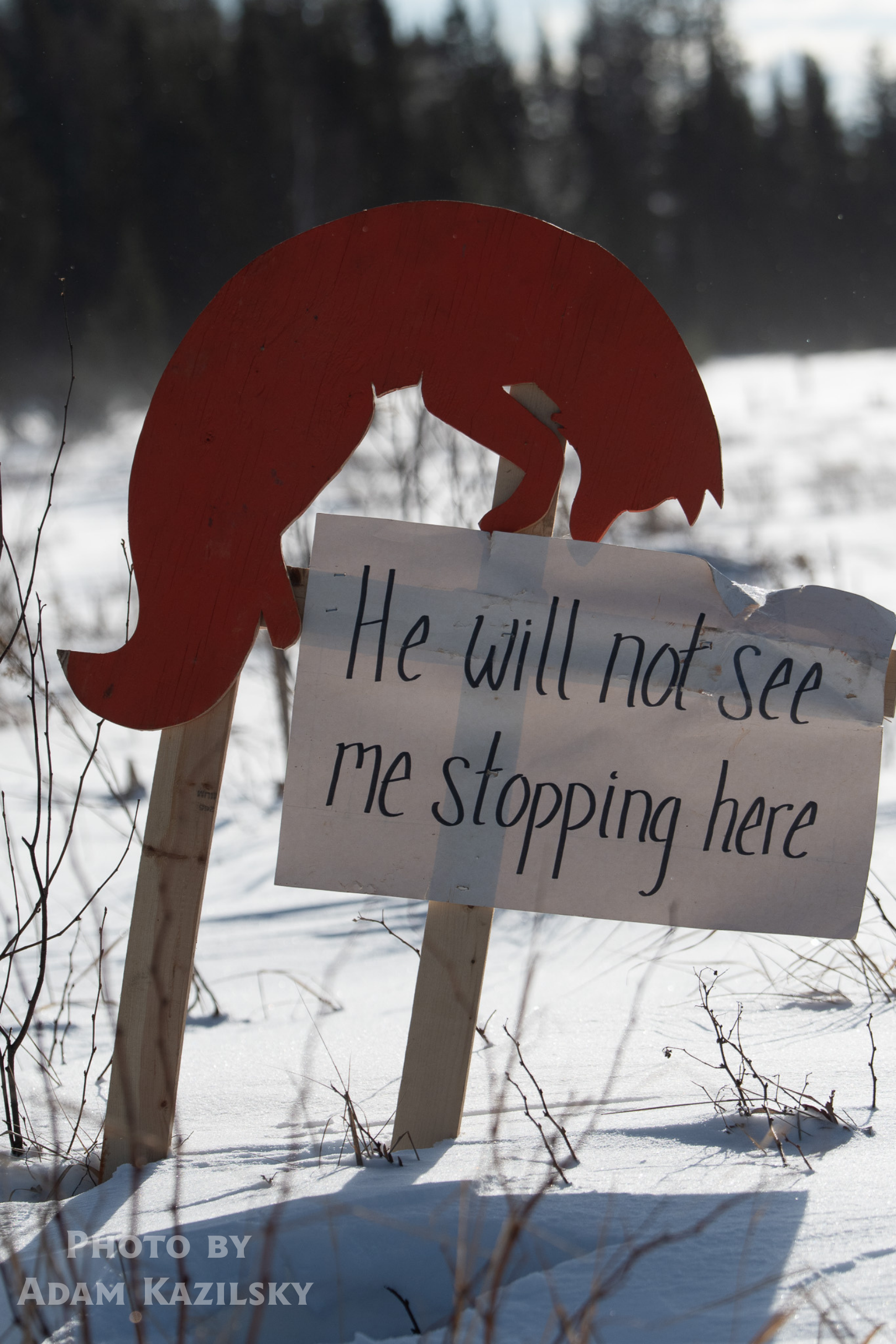 Arrowhead 135 Adam Kazilsky Embark 3.png