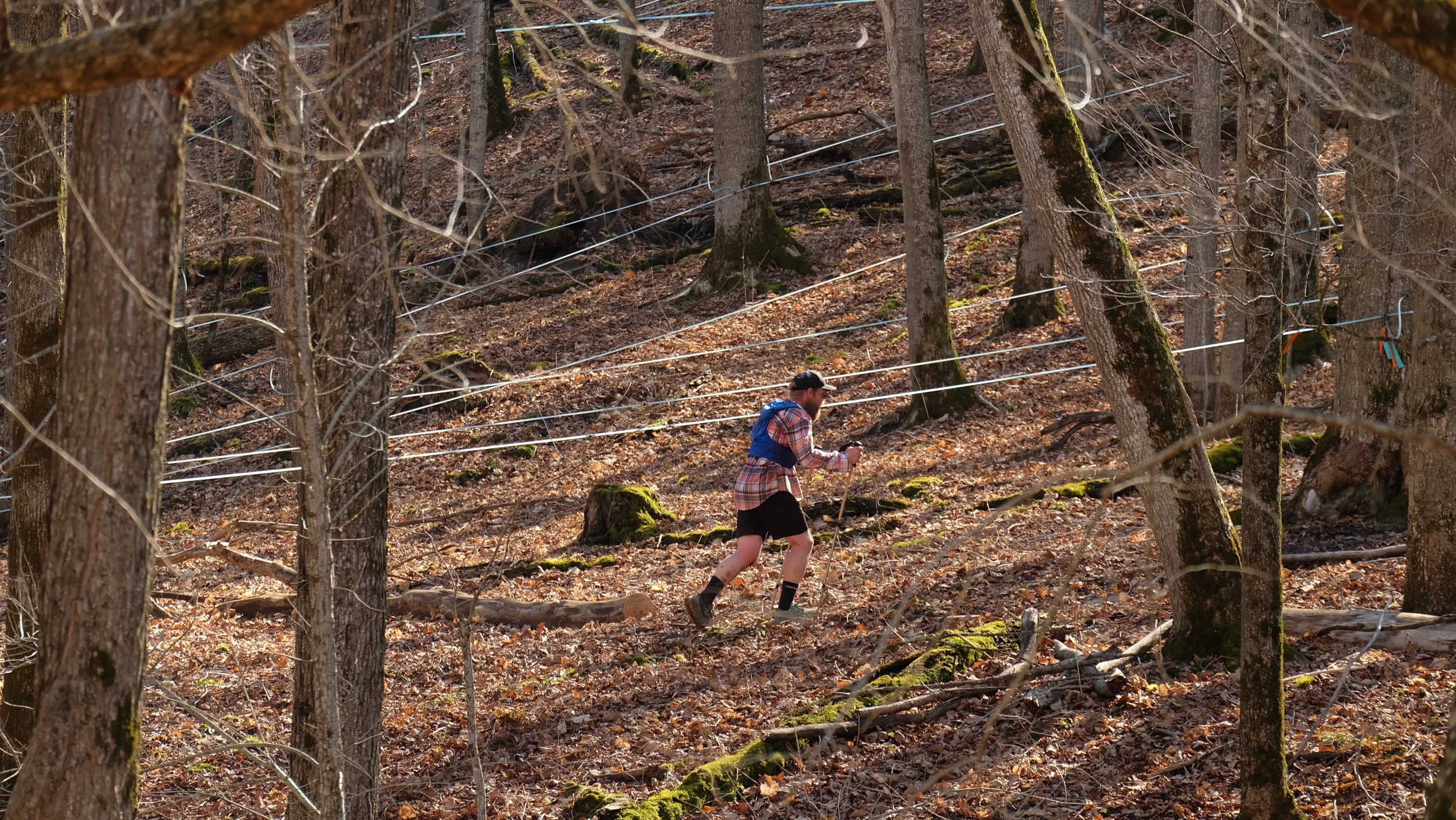 Embark Maple Energy Sap Run Scramble 2026 (34).JPG