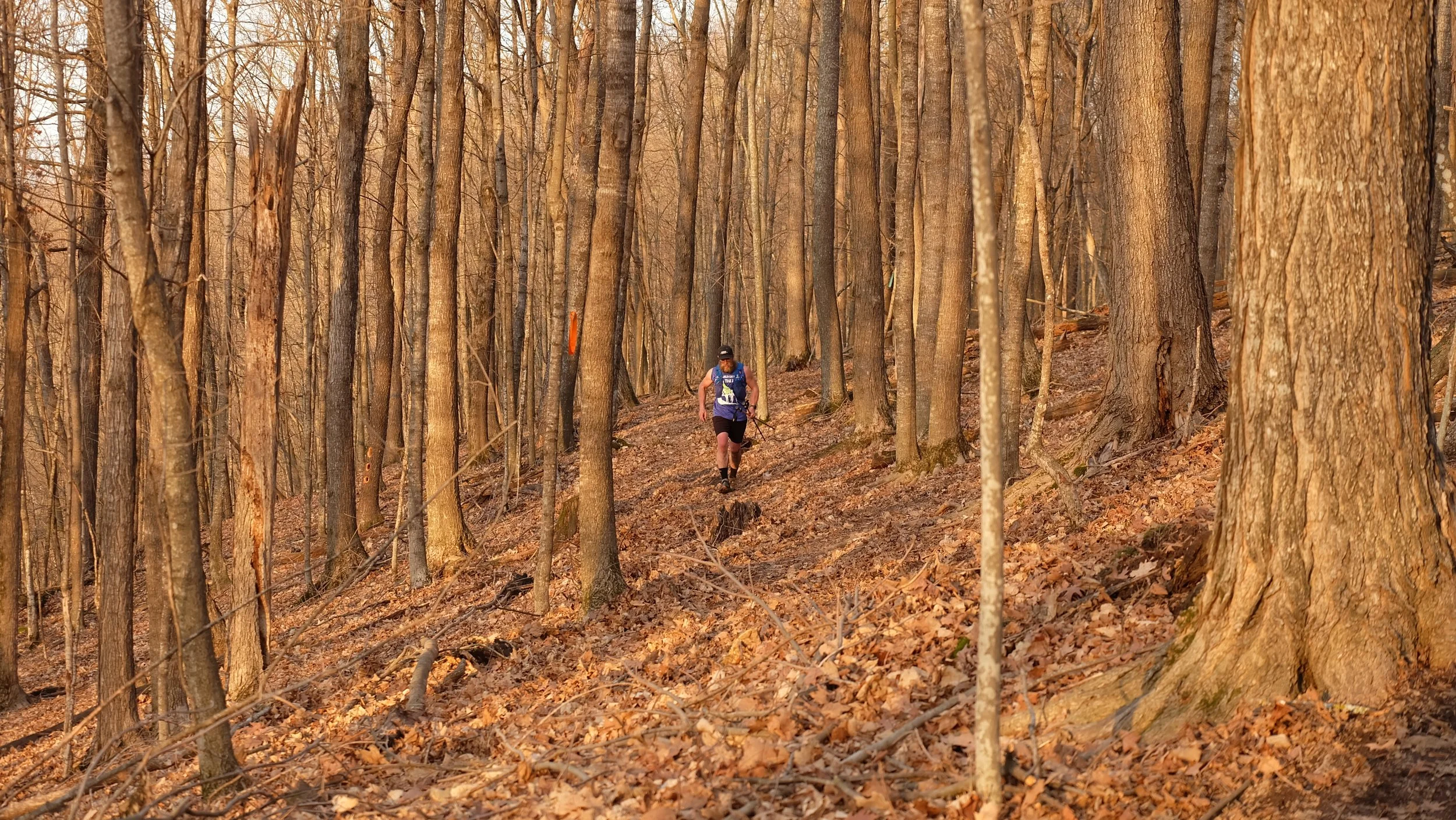 Embark Maple Energy Sap Run Scramble 2026 (75).JPG