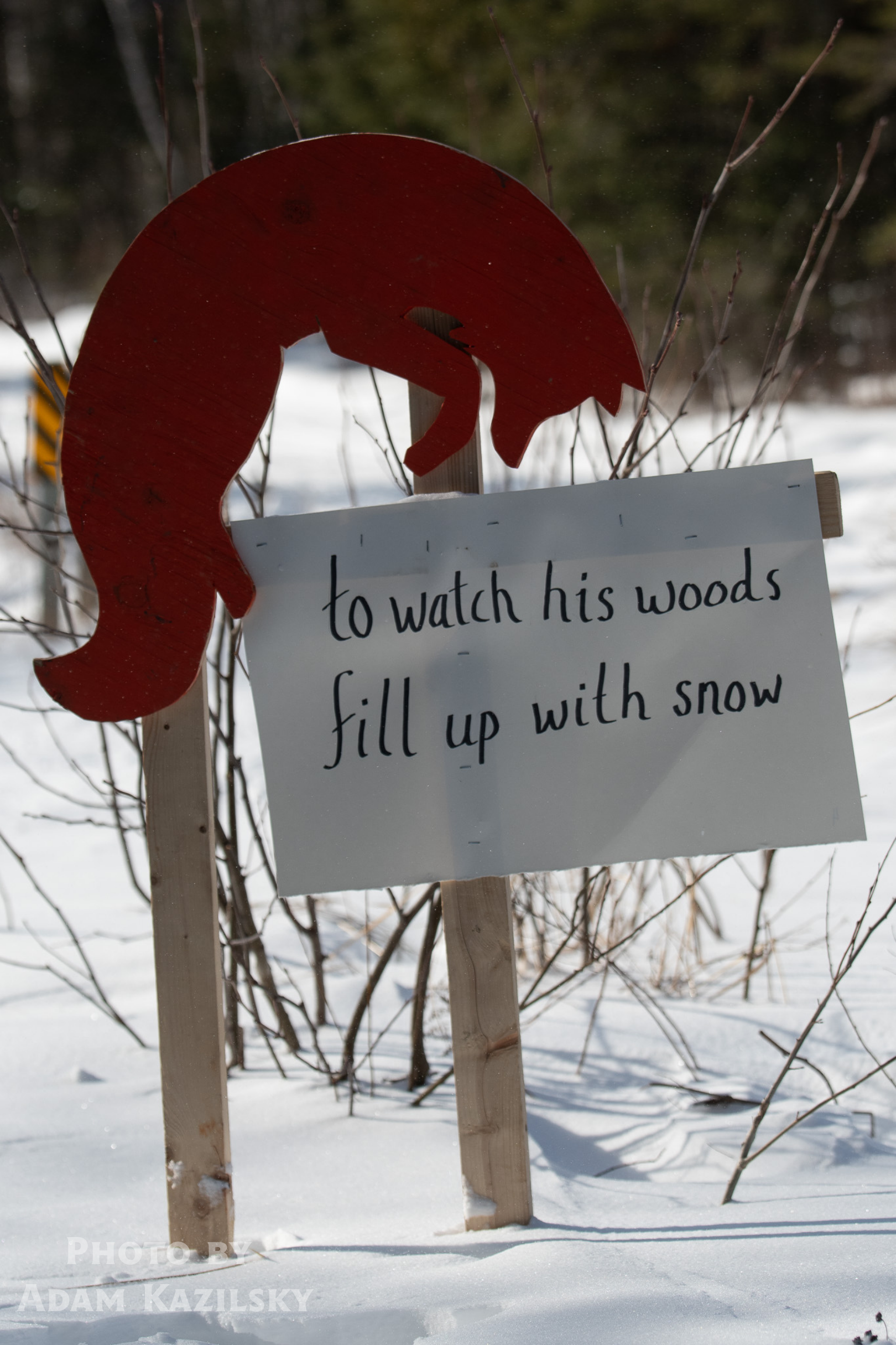 Arrowhead 135 Adam Kazilsky Embark 4.png