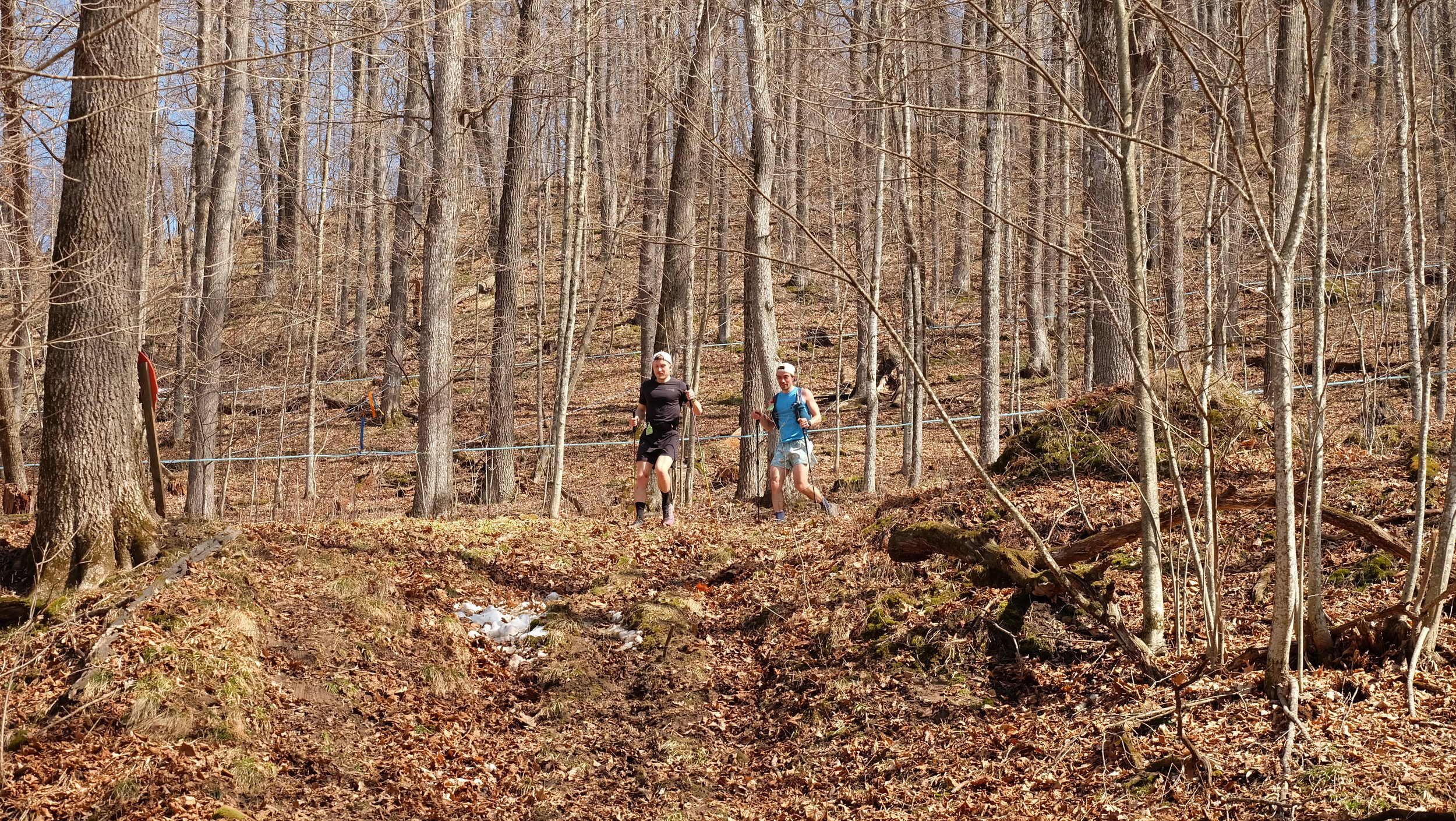 Embark Maple Energy Sap Run Scramble 2026 (8).JPG