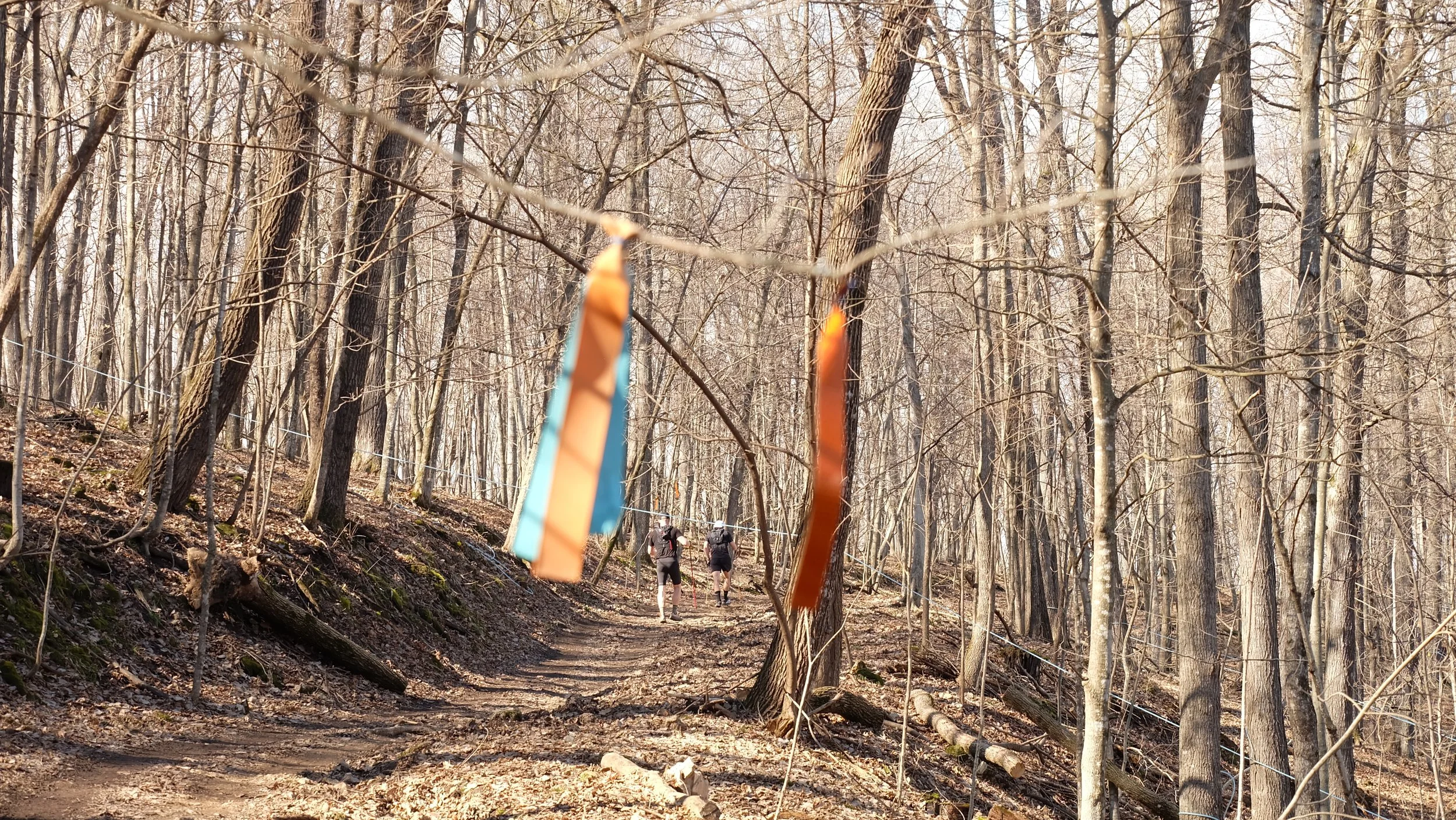 Embark Maple Energy Sap Run Scramble 2026 (68).JPG