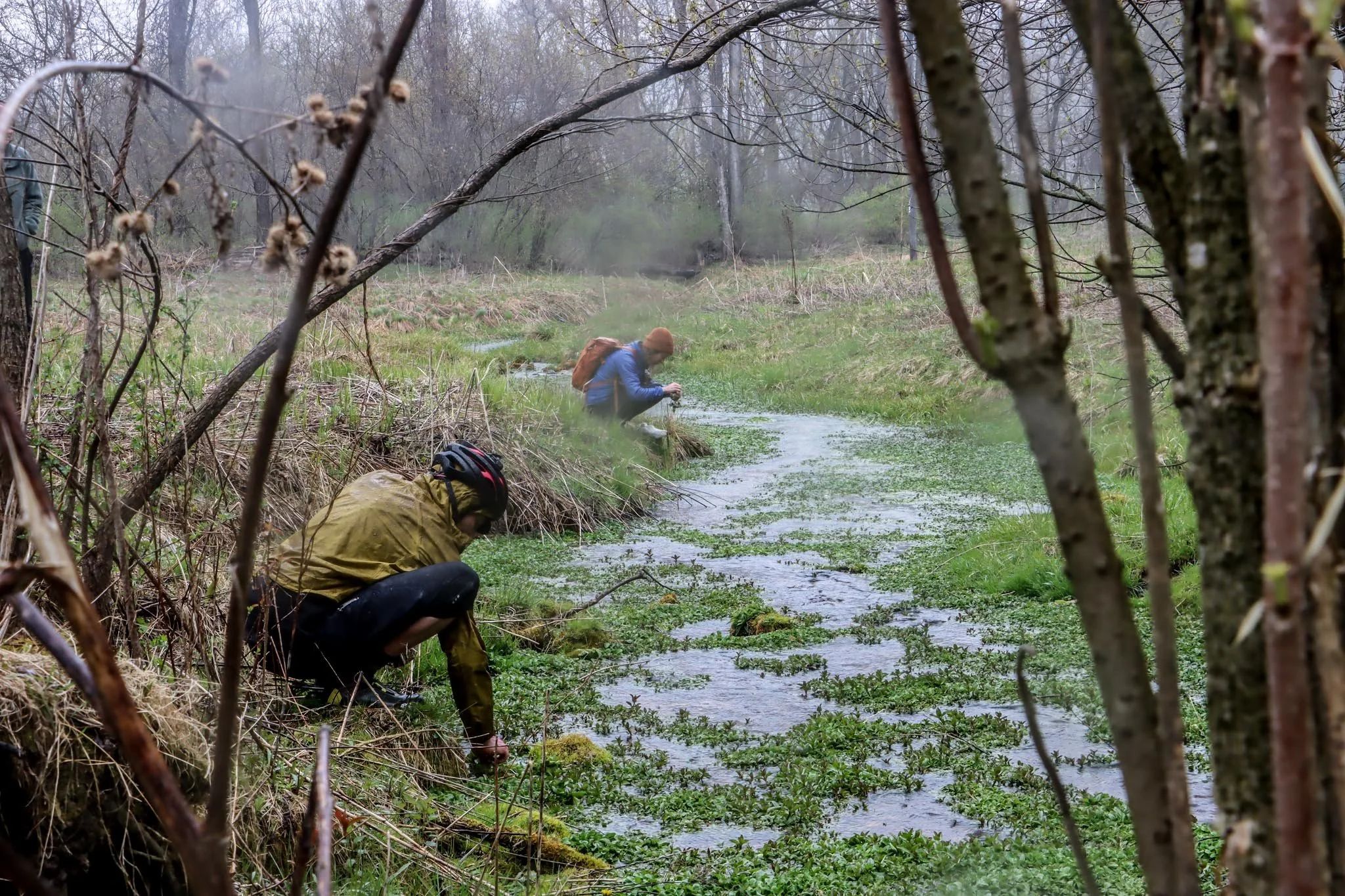 Ramp Romp 2023 5 Watercress.jpg