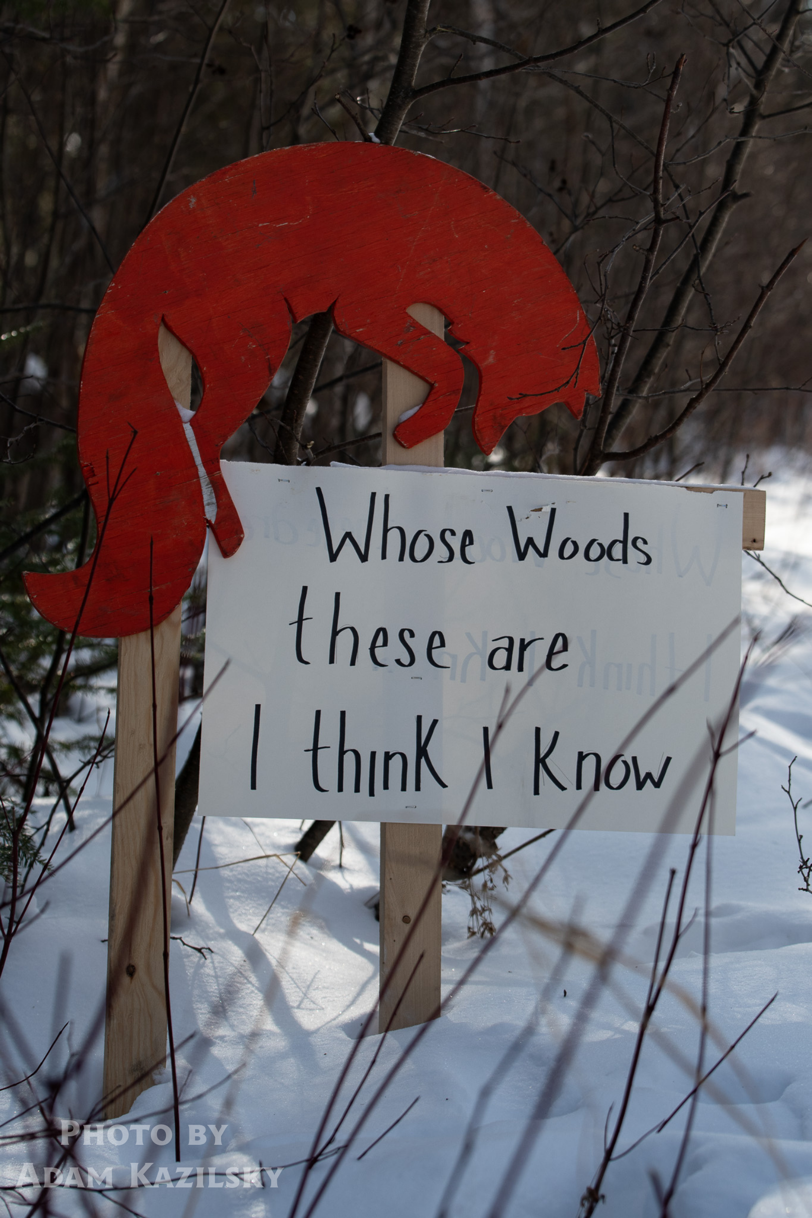 Arrowhead 135 Adam Kazilsky Embark 1.png