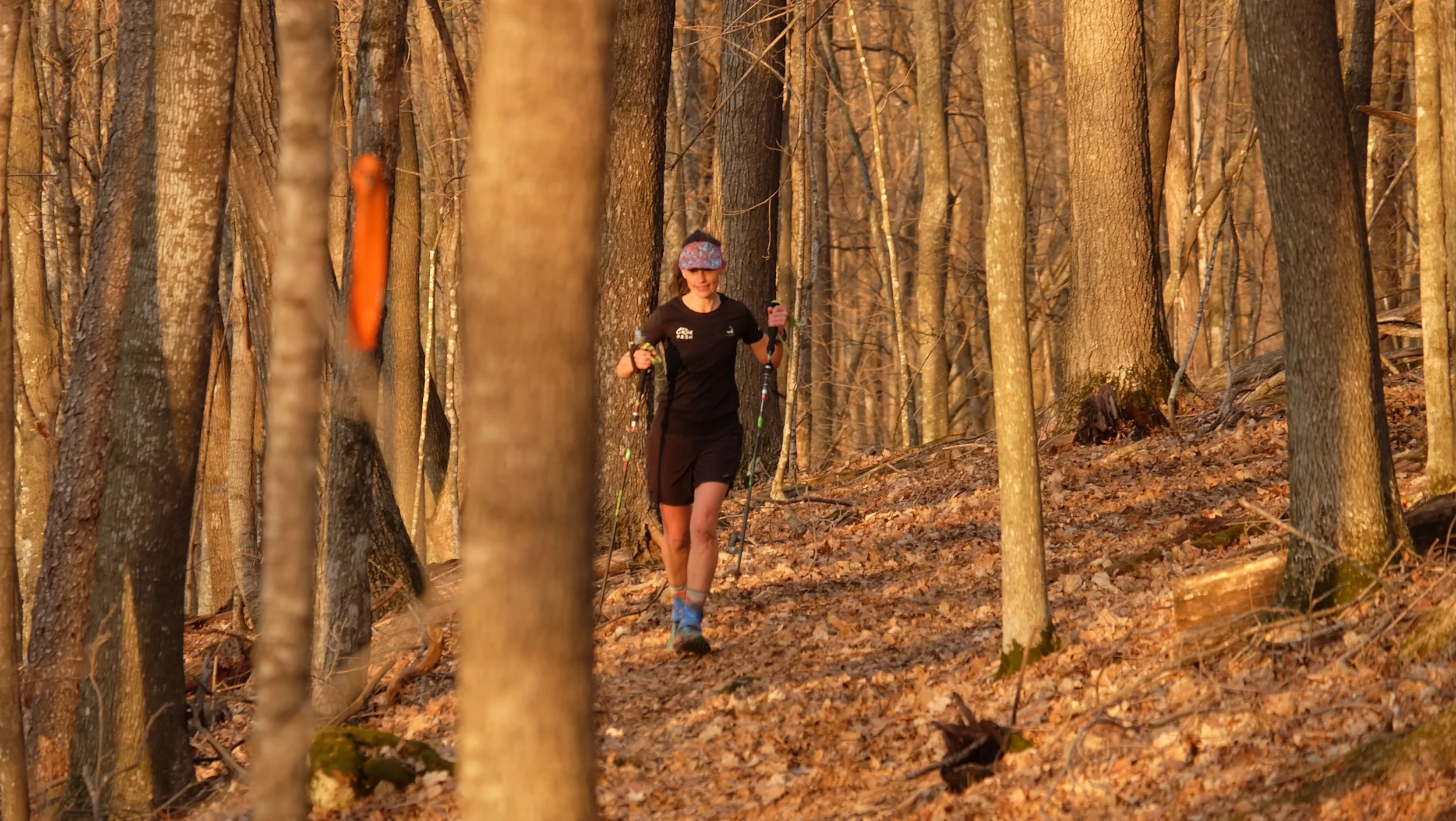 Embark Maple Energy Sap Run Scramble 2026 (80).JPG