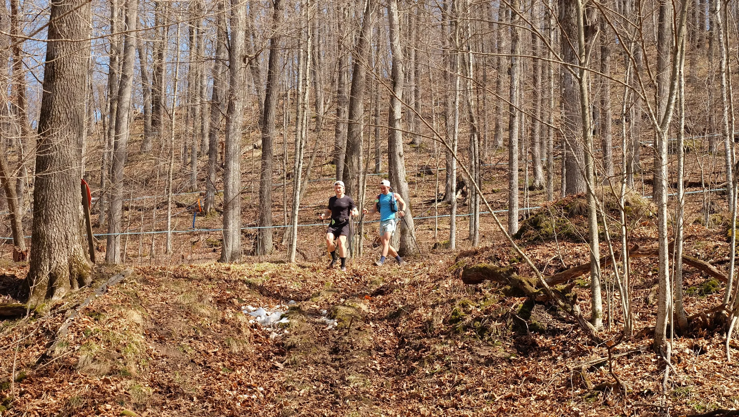 Embark Maple Energy Sap Run Scramble 2026 (9).JPG