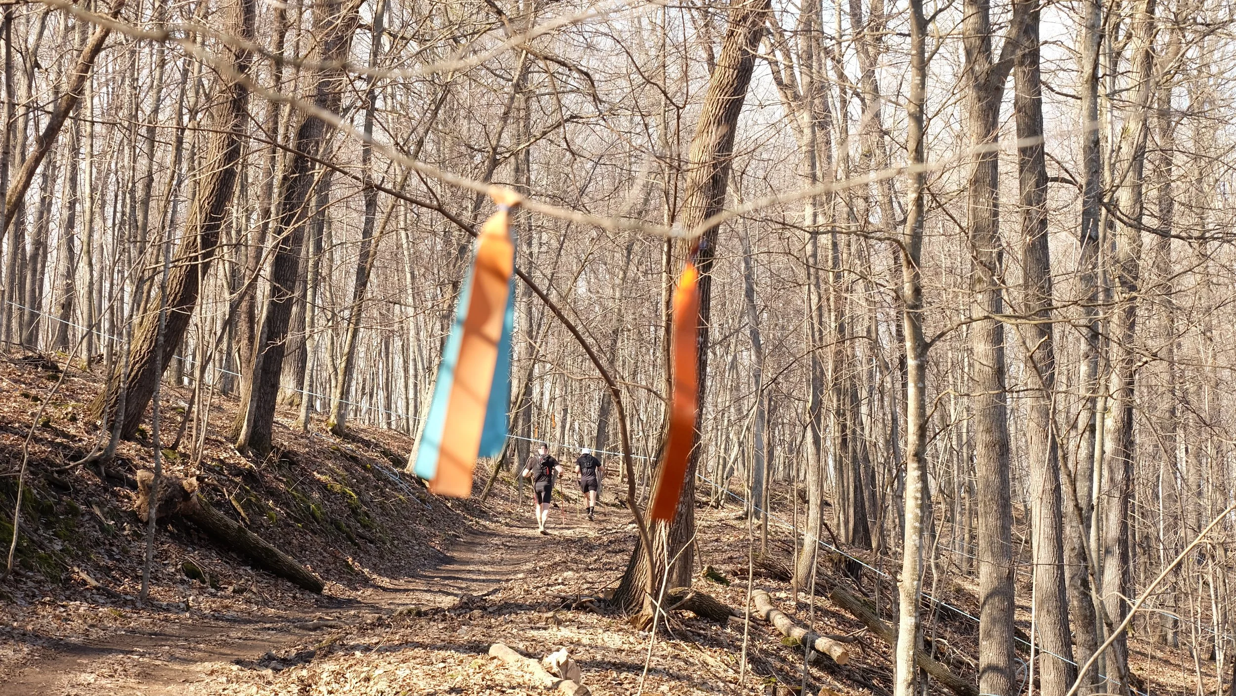 Embark Maple Energy Sap Run Scramble 2026 (67).JPG