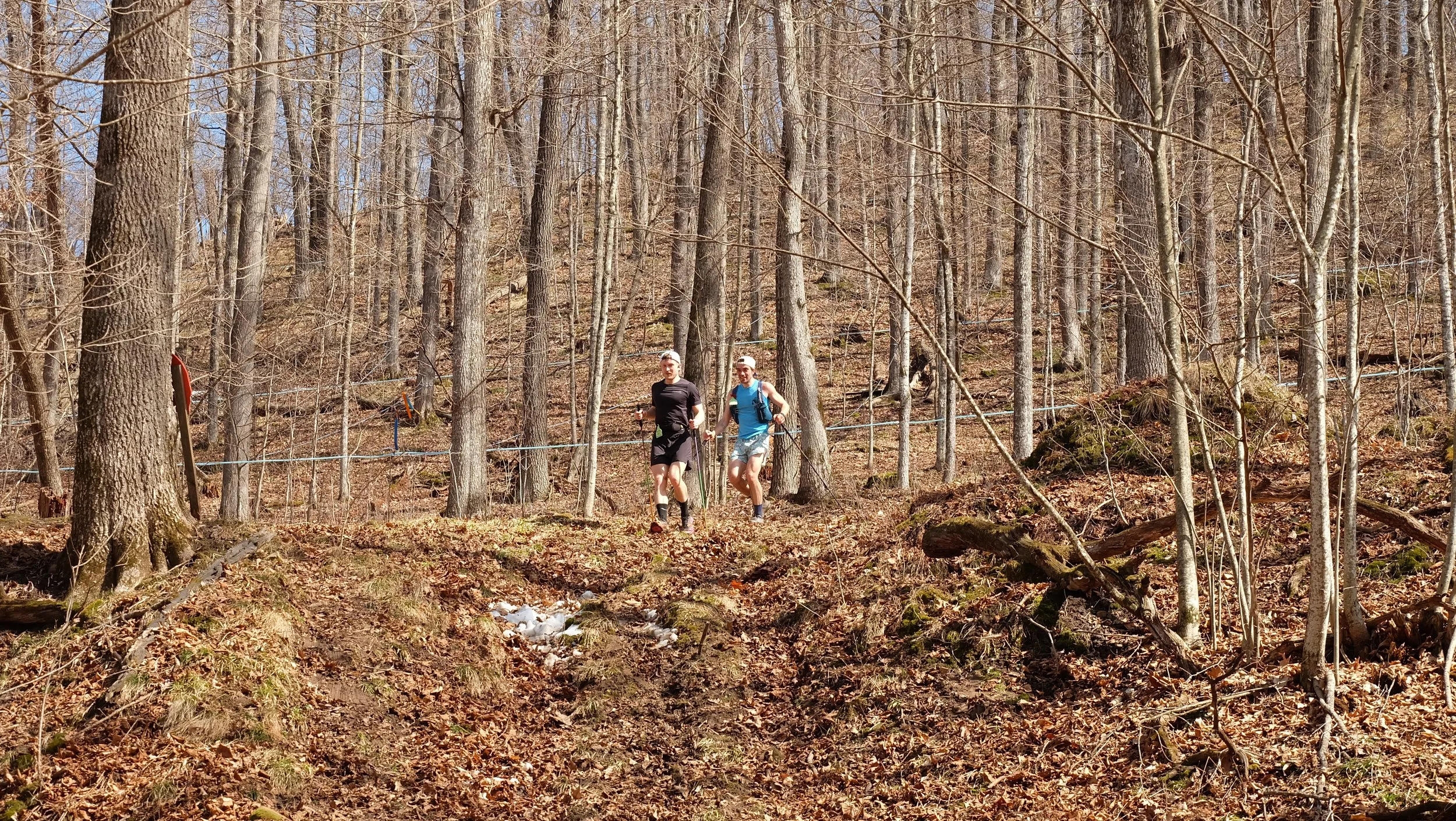 Embark Maple Energy Sap Run Scramble 2026 (10).JPG