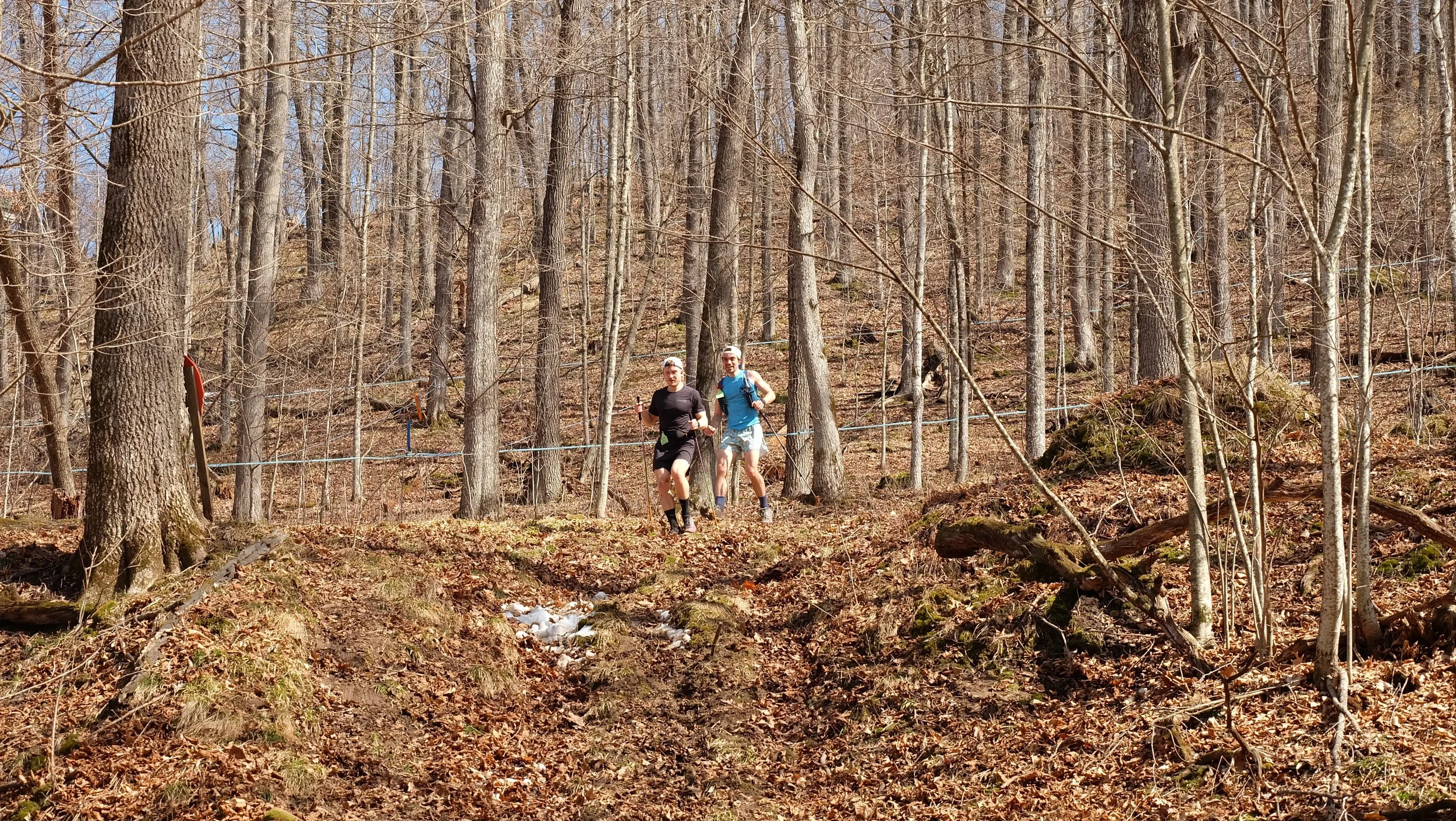 Embark Maple Energy Sap Run Scramble 2026 (11).JPG