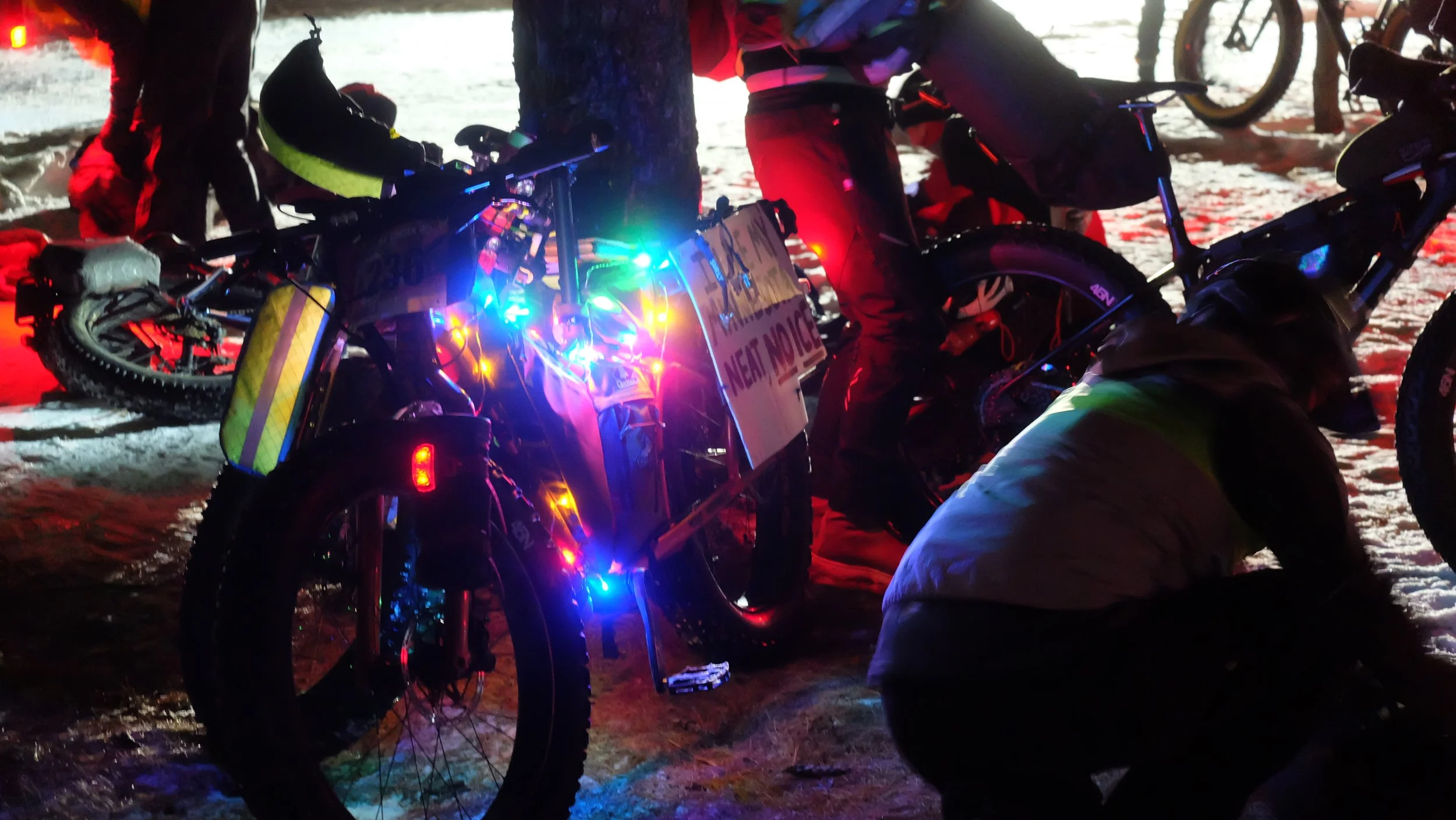 St Croix 40 2026 Embark Maple Energy (67).JPG