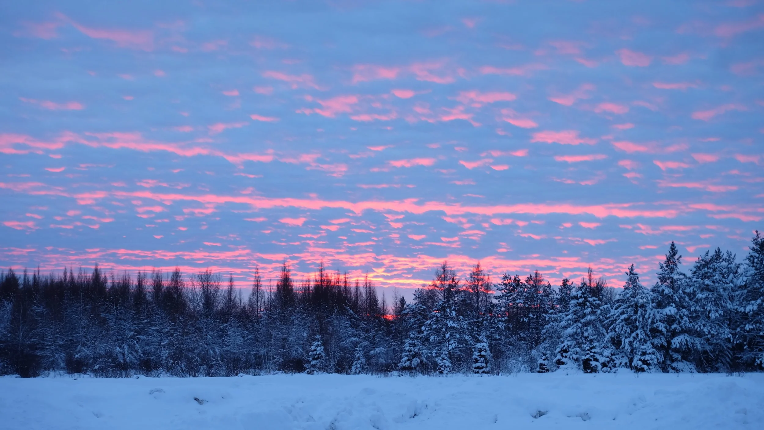 Tuscobia Winter Ultra 2026 (4).JPG