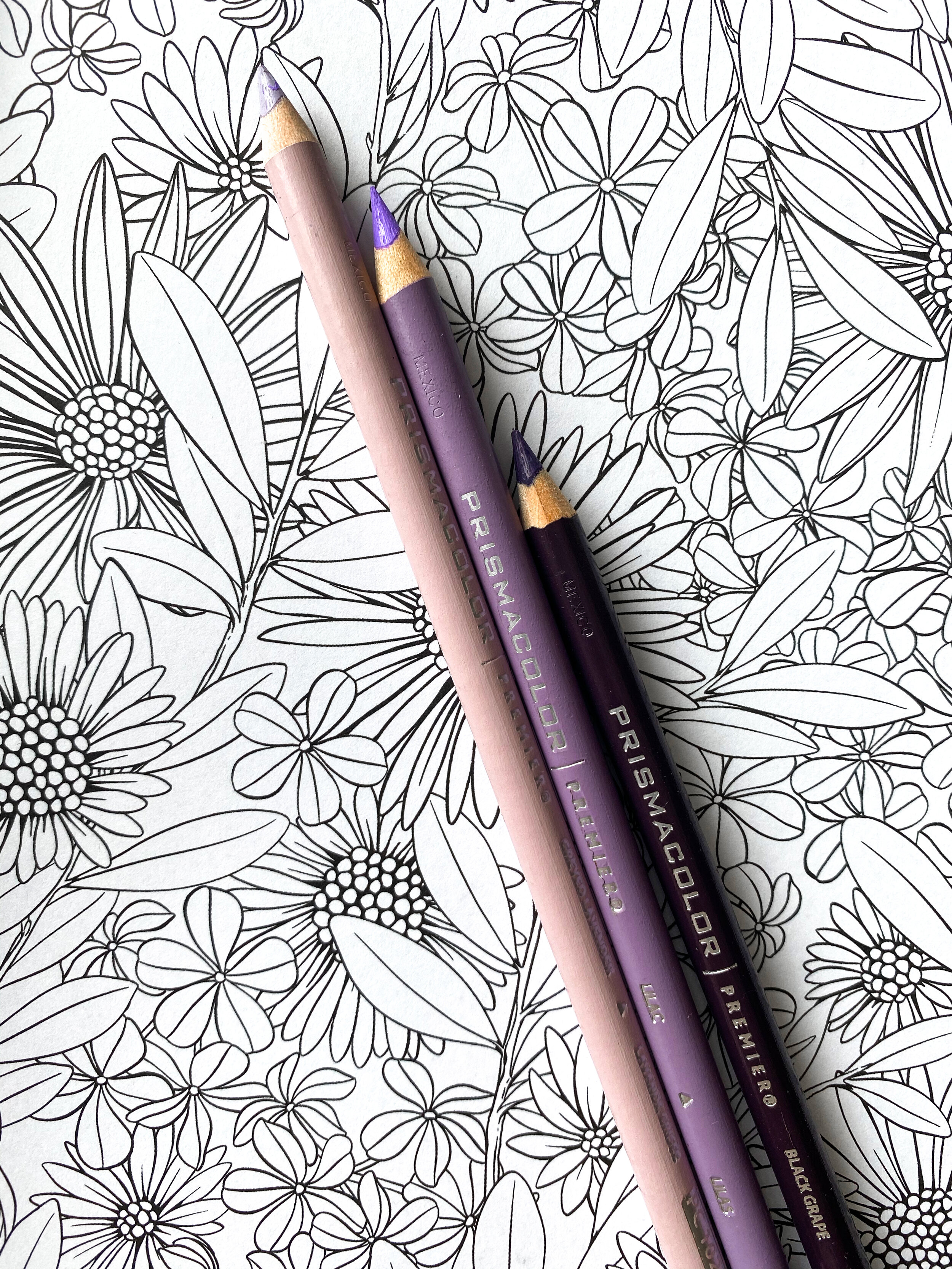 Colored Pencil Shading 101 — Flowerscape