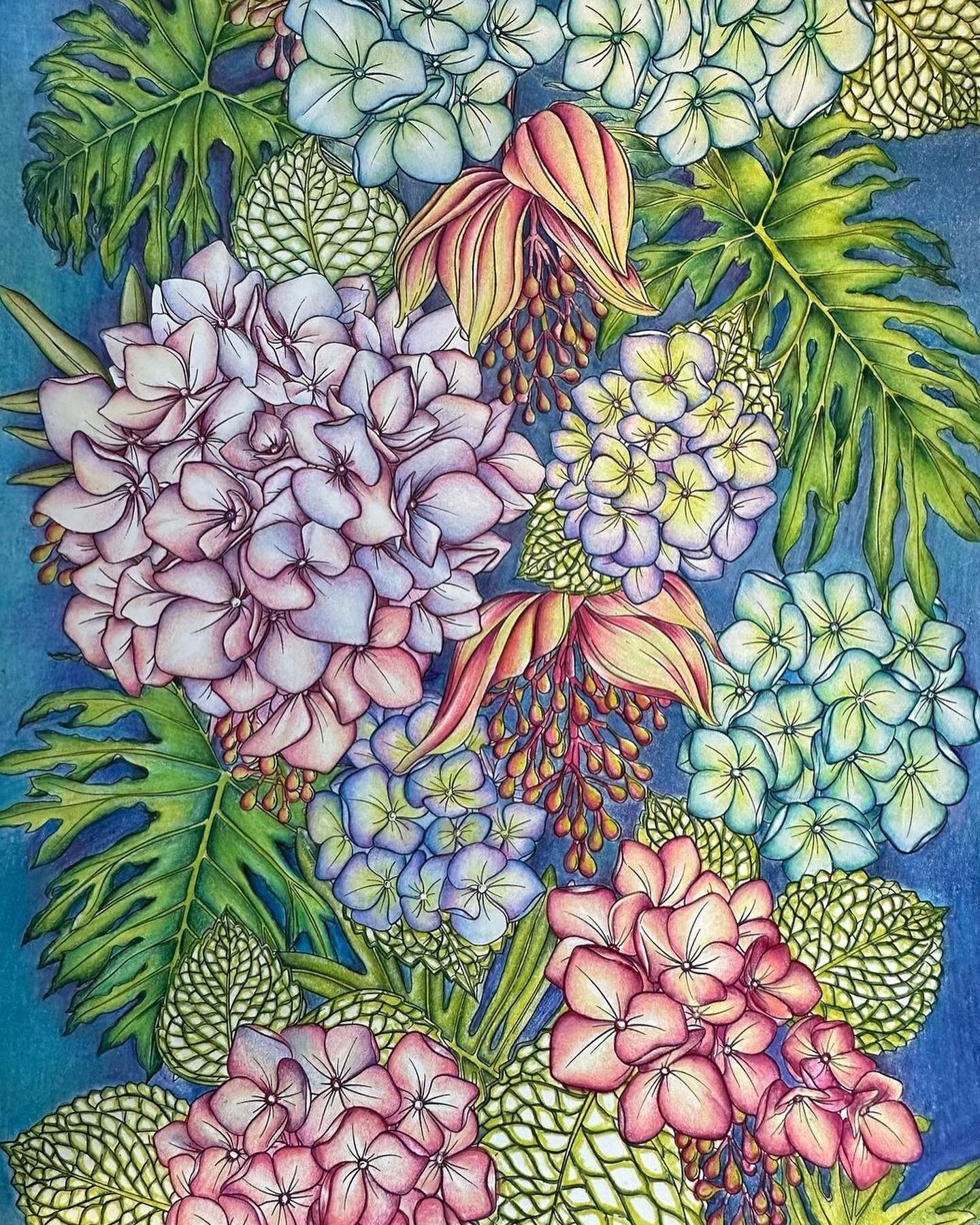 Absolute stunner by @coloringfun1 in Flowerscape in Paradise. 😍 what do you think of this color combo? 

#flowerscapeinparadise #flowerscapecoloringbook #coloringbook #coloringtherapy #coloringforadults #coloredpencil #colorflowerscape #botanicalart