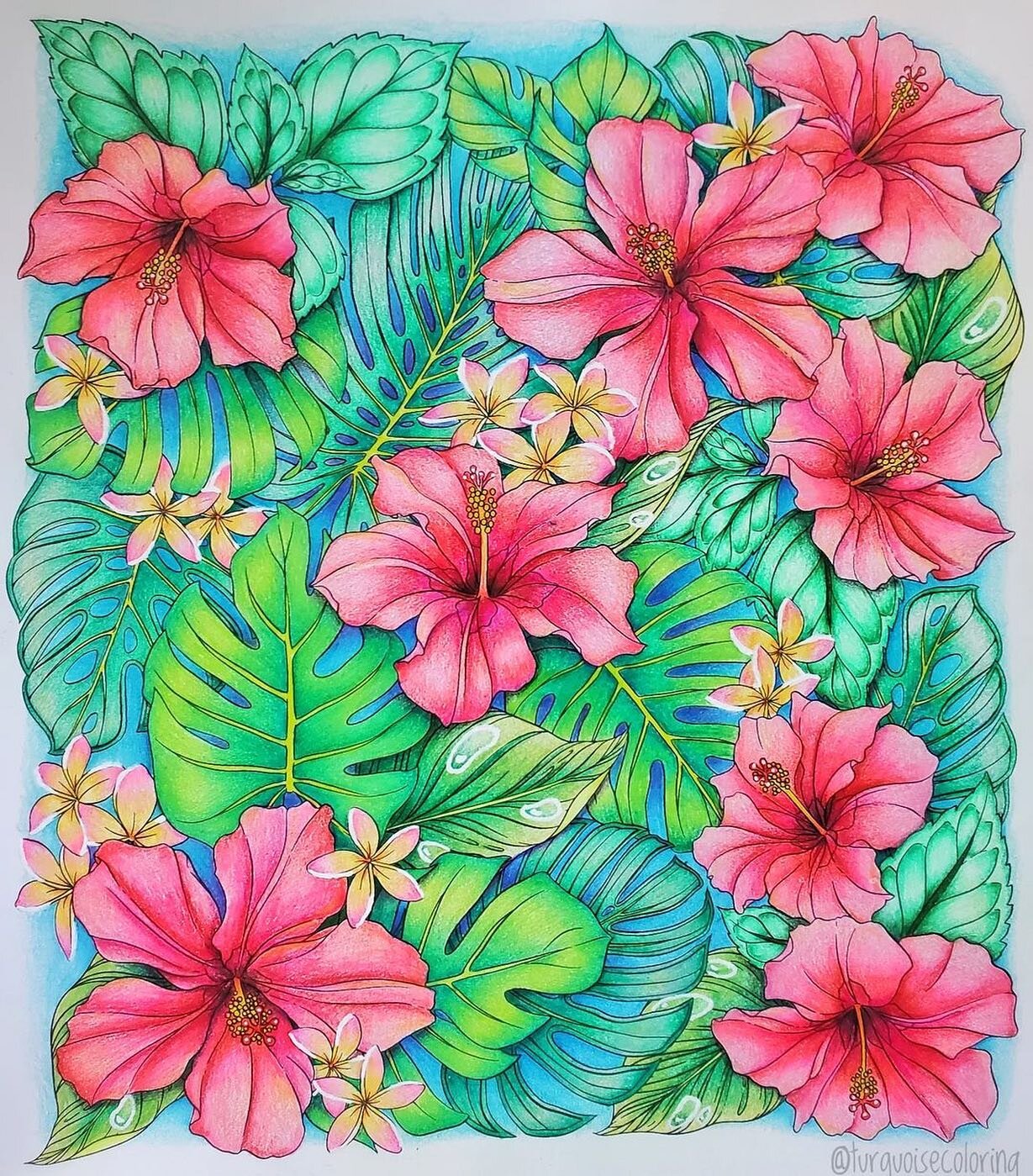 Hibiscus by @turquoisecoloring, from Flowerscape in Paradise. 🌺 I just love how bright and happy this is! 

#flowerscapeinparadise #colorflowerscape #coloringbook #botanicalcolors #botanicalart #illustration #coloringforadults