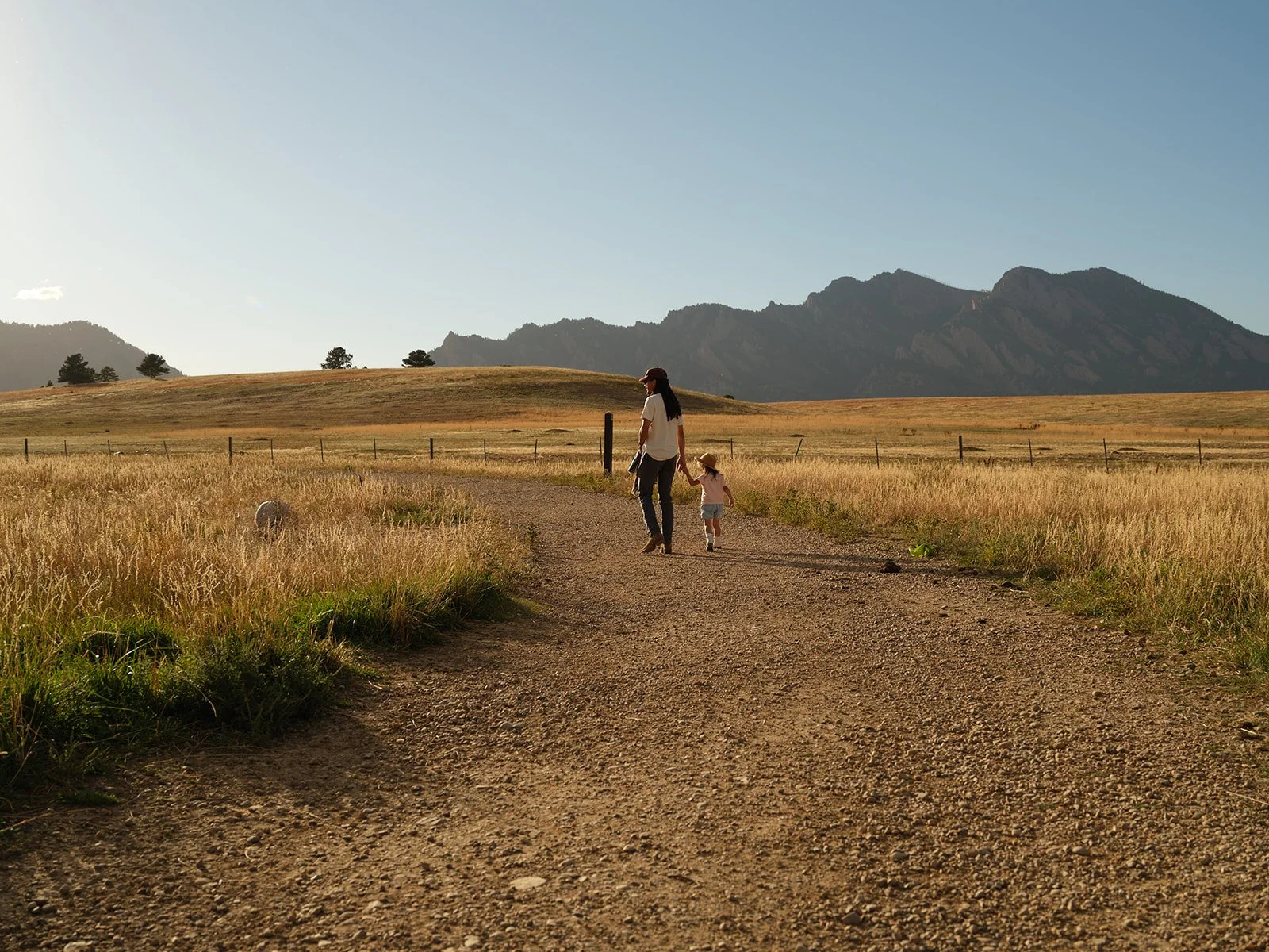 Ryan_Willms_DadJPEG Quality 566.jpg