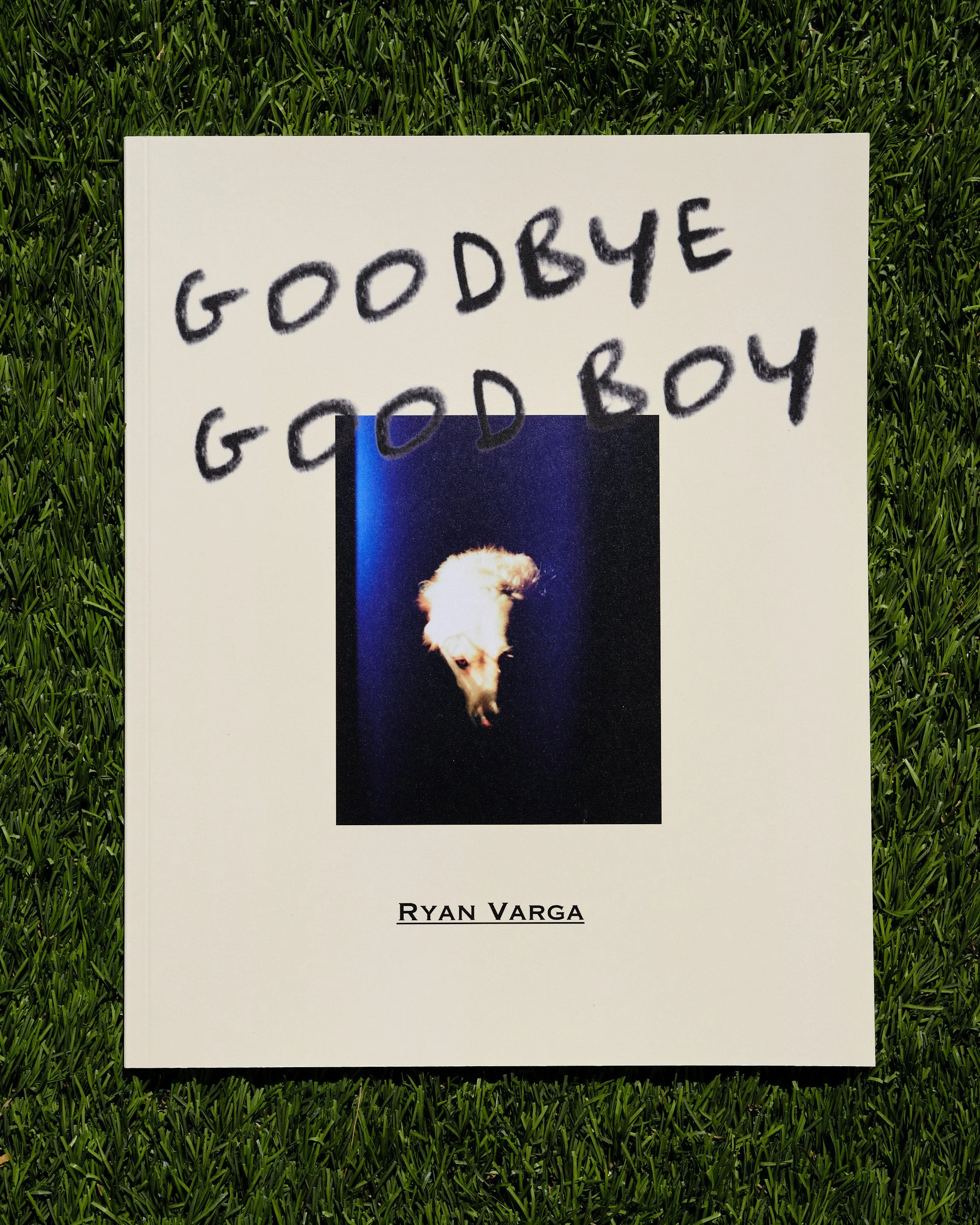 Goodbye Good Boy