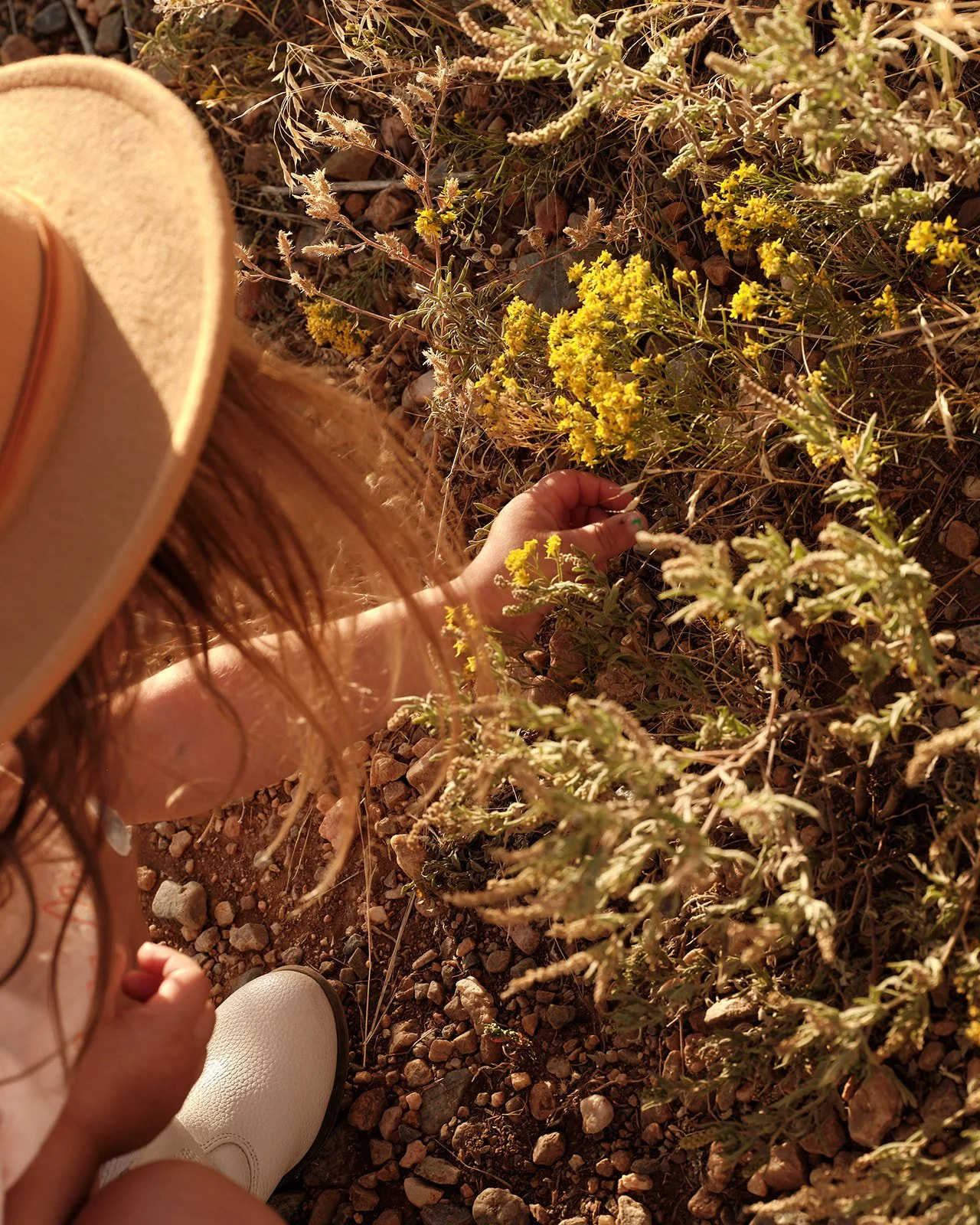 Ryan_Willms_DadJPEG Quality 5660.jpg