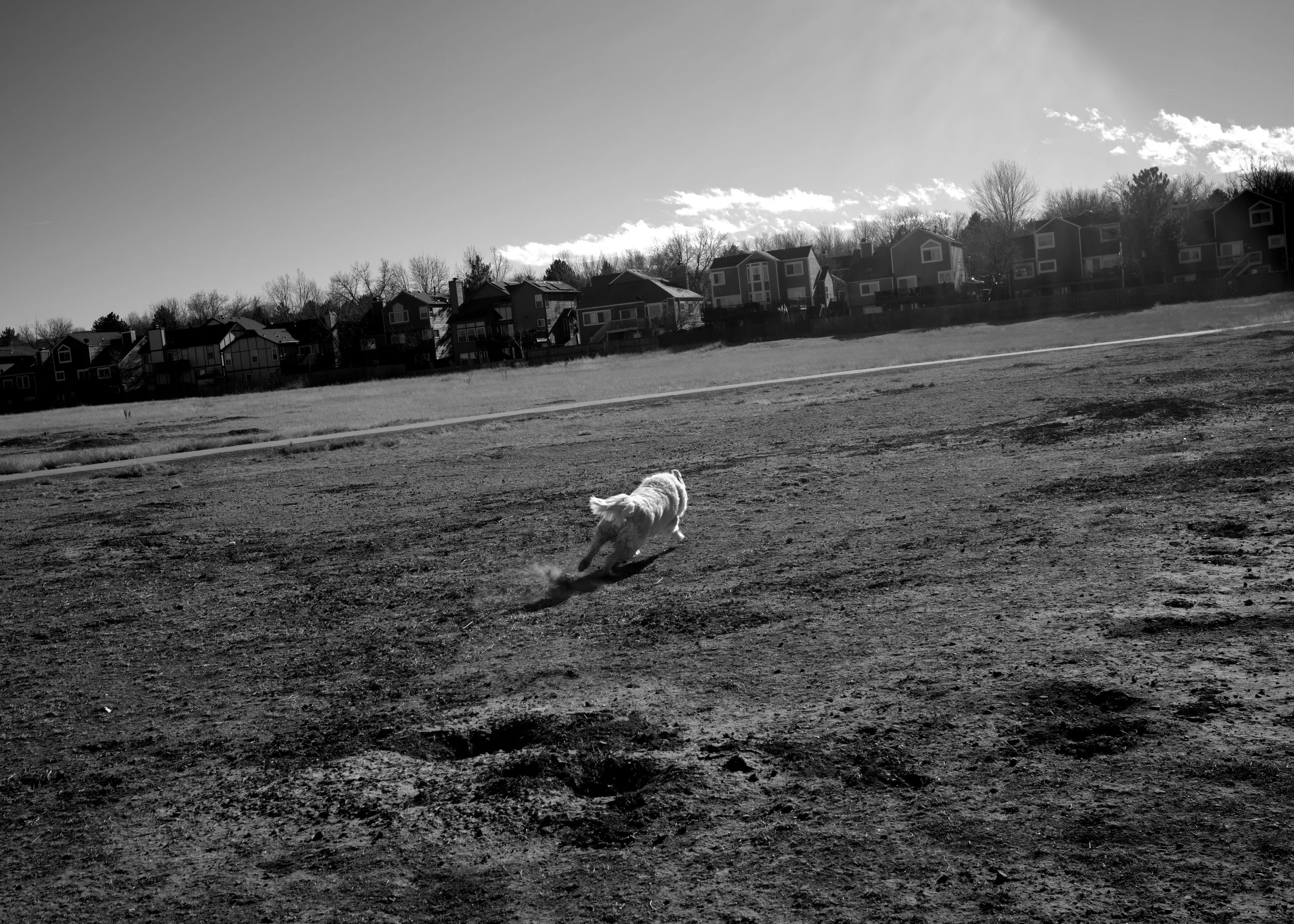 Gonzo_RoadTrip2021 214.jpg
